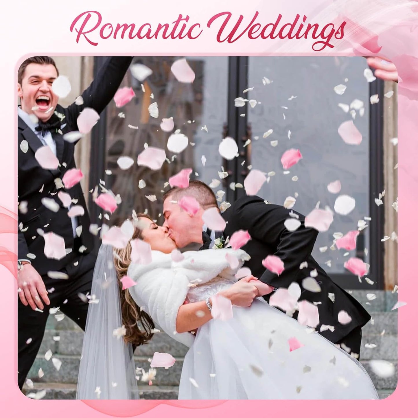 180 PCS Real Pink White Rose Flower Petals Confetti for Wedding to Throw, 1.75oz Freeze Dried Rose Petal for Proposal Centerpieces Romantic Night Decor