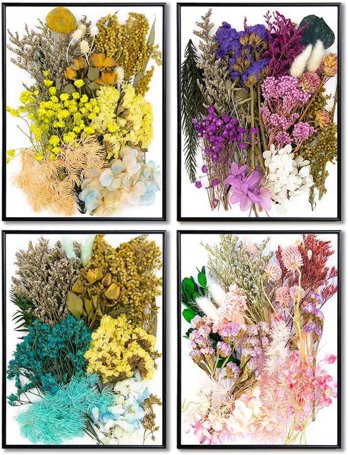 Vignee Real Dried Pressed Leaf Flowers-Multiple Colorful Pressed Flowers Daisies for Craft Resin Jewelry Making Art Craft DIY and Soap Candle Scrapbooking DIY Resin（Light Pink）