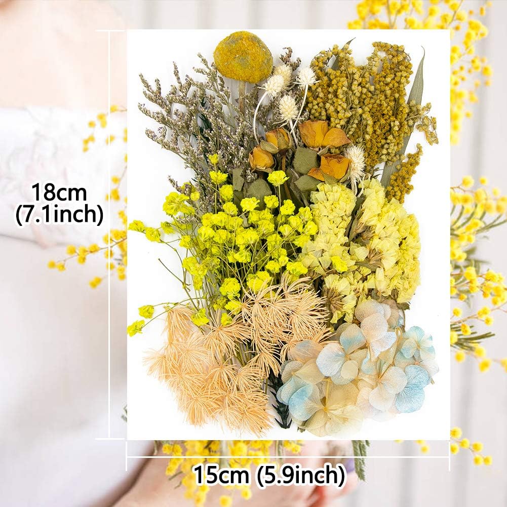 Vignee Real Dried Pressed Leaf Flowers-Multiple Colorful Pressed Flowers Daisies for Craft Resin Jewelry Making Art Craft DIY and Soap Candle Scrapbooking DIY Resin（Yellow）