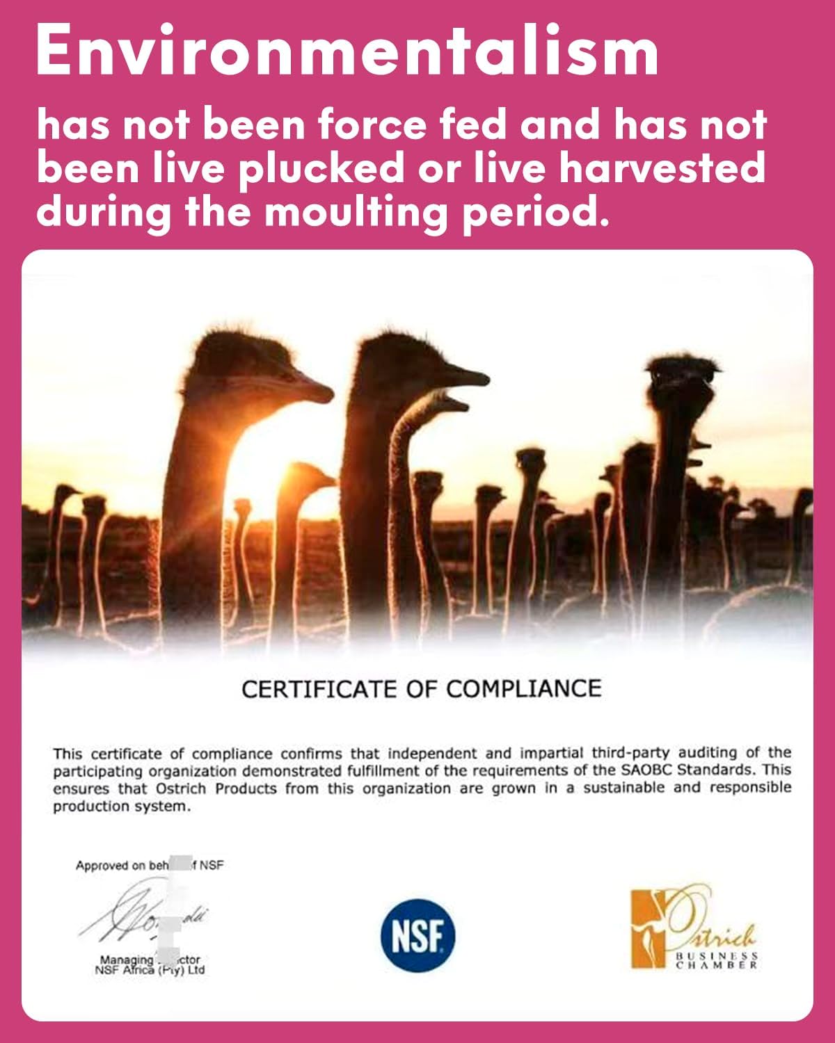 NEWONG 30pcs Gold Ostrich Feathers Natural Bulk 9-12inch(23-30cm) Vase Craft Wedding Home Party Centerpieces Christmas Day Decoration