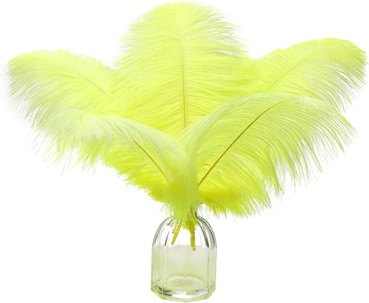 Ballinger Fluorescent Yellow Ostrich Feathers - 12Pcs 12-14inch Large Feathers Bulk for Vase, Party Centerpieces, Mardi Gras Decorations and Home Decor