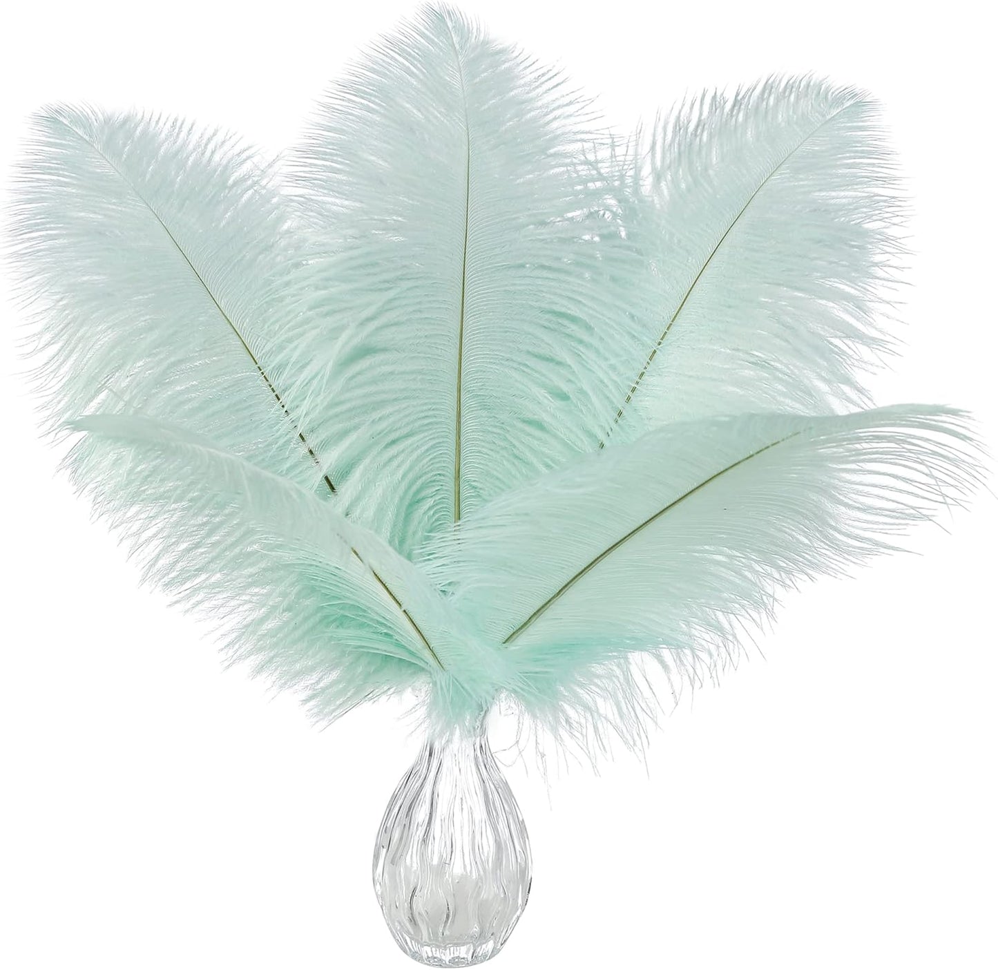 Ballinger Aqua Green Ostrich Feathers - 24pcs 8-10inch Craft Feathers Bulk for Wedding Party Centerpieces Mardi Gras Decorations and Home Decor