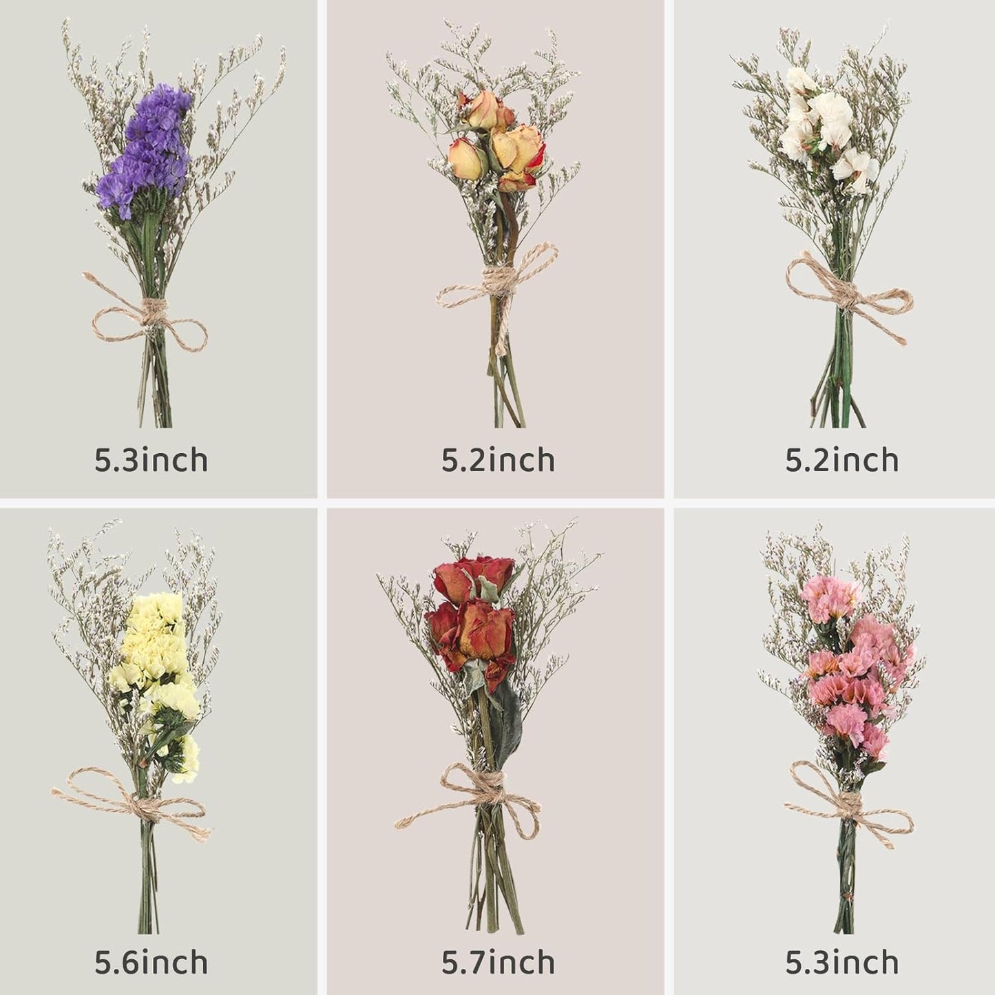 12/24 Pack Dried Flowers for Vase Various Mini Bouquet Dried Small Wildflowers Natural Real Flowers Bulk for Crafts DIY Wedding Decor (24, Forget Me Not)