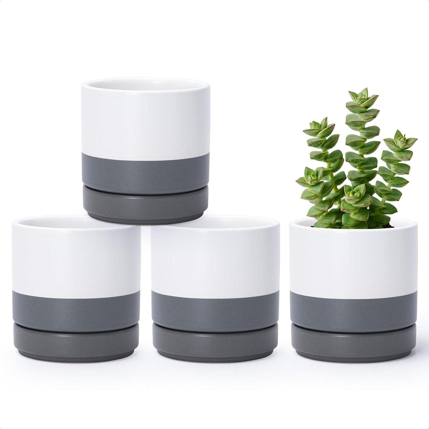 D'vine Dev Set of 4 Small Ceramic Plant Pots, 4.7 Inch Succulent Planter Pot for Plants with Drainage Hole and Saucer, White/Speckled Grey, 94-X-B-6