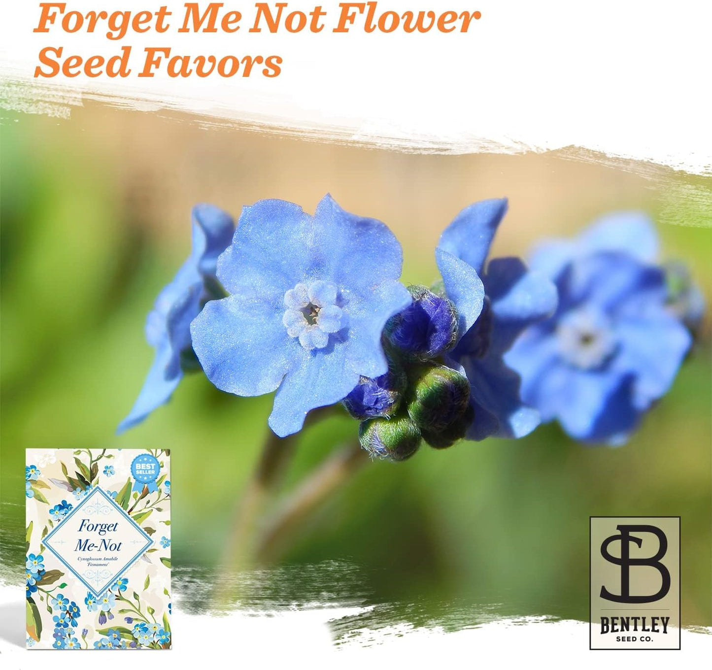 Vintage Look - 25 Individual Forget Me Not Flower Seed Packet Favors - Non GMO - Ready to Give - Bulk Pack of 25