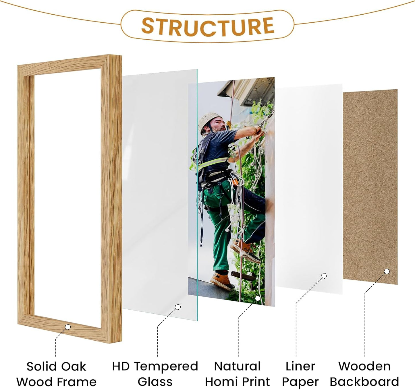 19x27 Picture Frame Oak Wood,19"x27" Natural Oak Color Wooden Frames with Tempered Glass,27x19 inch Wall Gallery Poster Frame with No Mat,19 by 27 Frames Horizontal and Vertical for Wall Mounting