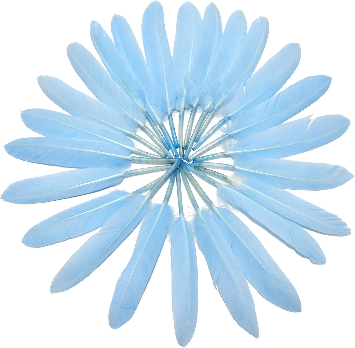 FeelfunFeather 120pcs Sky Blue Goose Cochettes Feather Natural Bulk 4-6 inch 10-15cm for Wedding Party Christmas Decorations DIY Crafts Goose Cochettes Feather