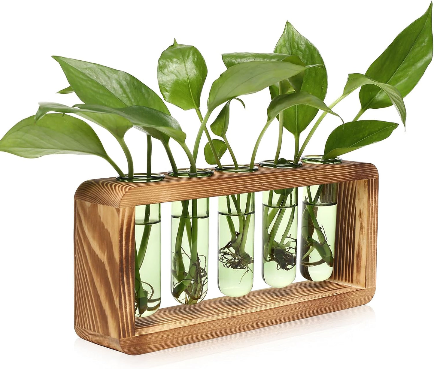 Glass Plant Propagation Station with 5 Test Tubes Colorful Planter Vase Birthday Gifts for Women in Wooden Stand