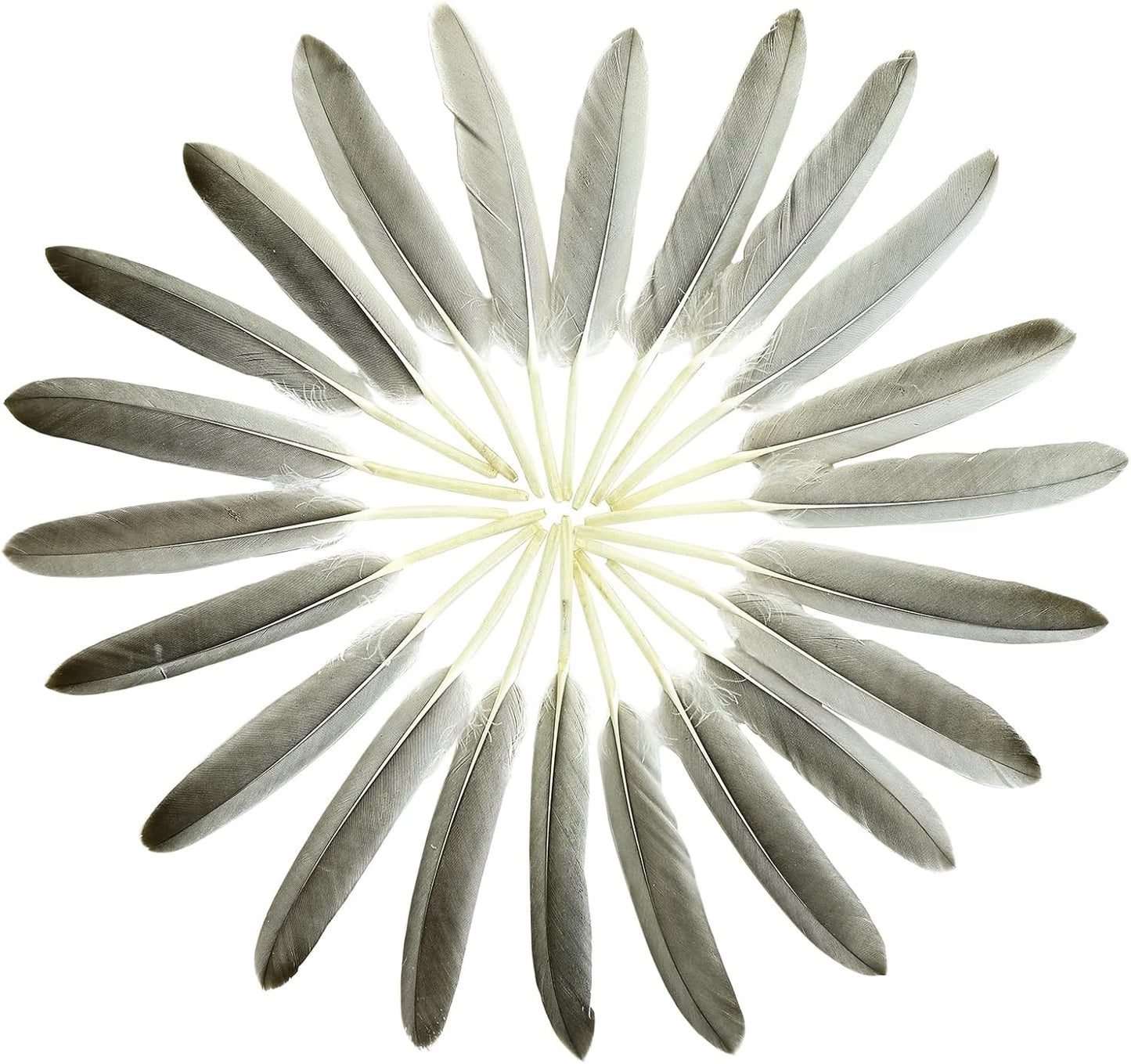 FeelfunFeather 120pcs Natural Gray Goose Cochettes Feathers Bulk 4-6 inches 10-15cm for Wedding Party Christmas Halloween Decorations DIY Crafts