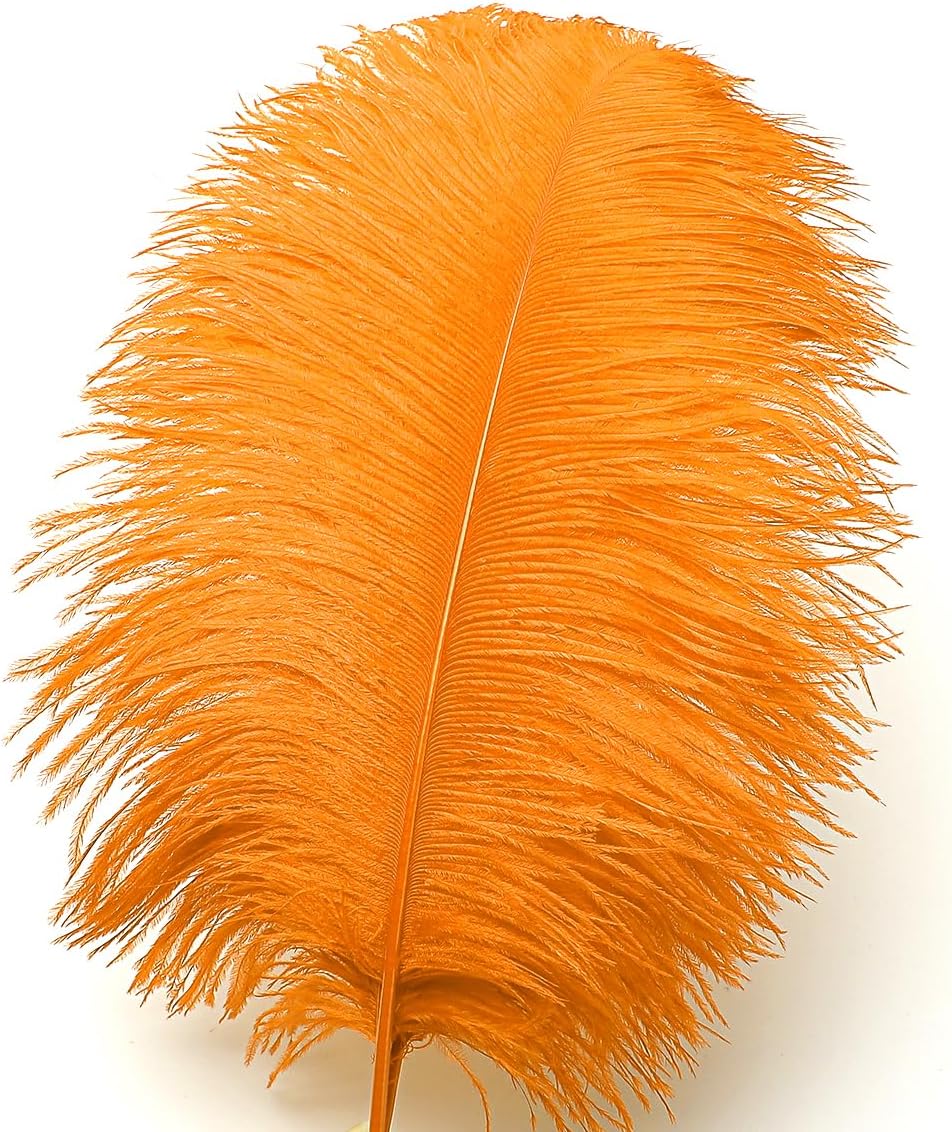 Ballinger Orange Large Ostrich Feathers - 24Pcs 12-14inch Big Feathers for Crafts,Wedding Party Centerpieces and Halloween Home Decor