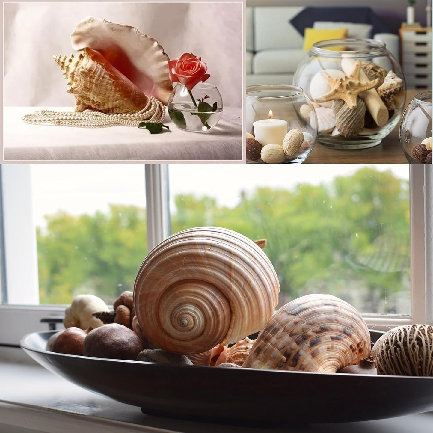 JQAQJU Sea Shells for Decorating 15PCS Large Seashells Starfish Conch for Beach Party,Vase Fillers, Table Scatters, Home Decor, DIY Crafts, Bathroom, Fish Tank Decorations