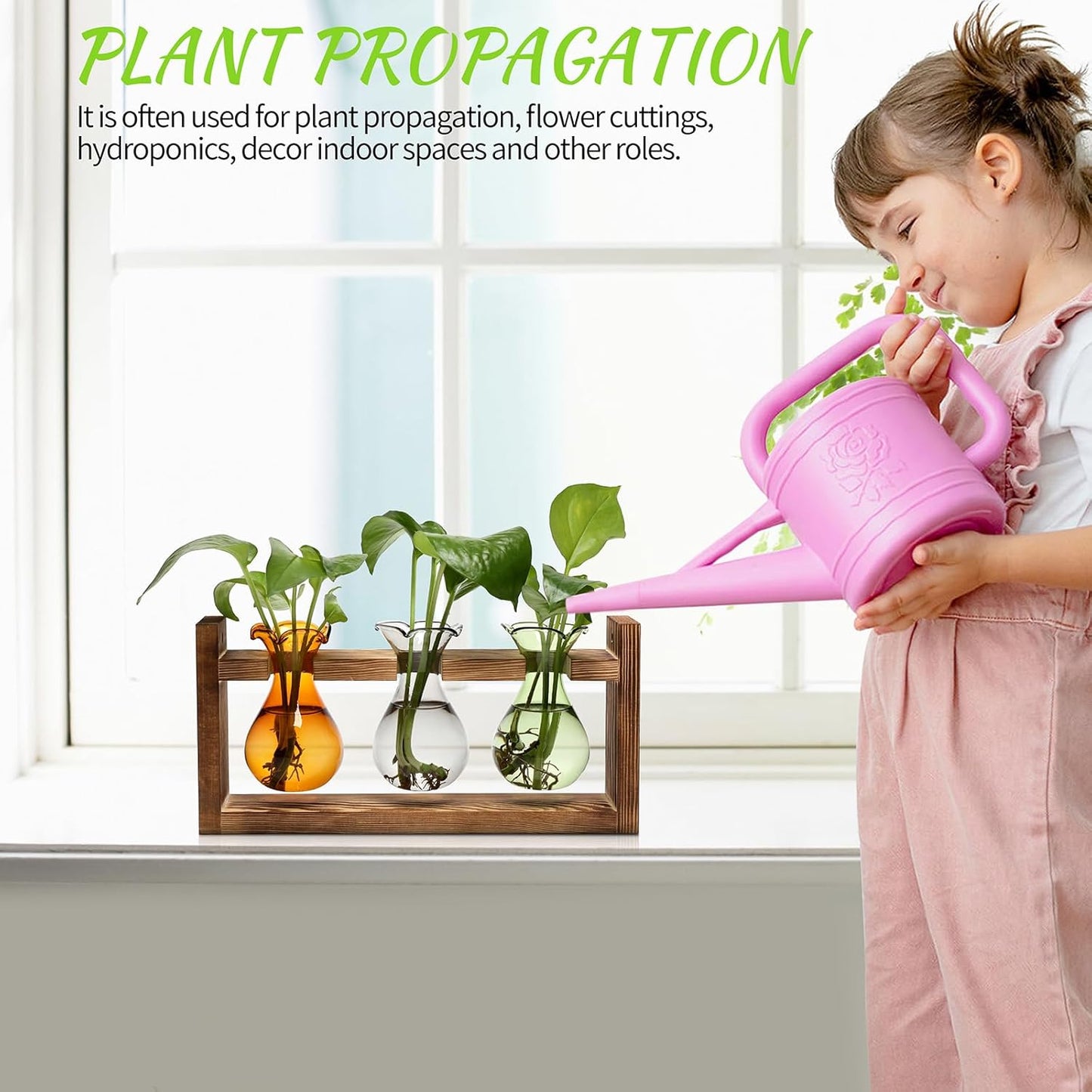 Plant Propagation Station Plant Terrarium Unique Birthday Gifts for Women Home Office Decor Planter with Wooden Stand - 3 Bulb Glass Vase