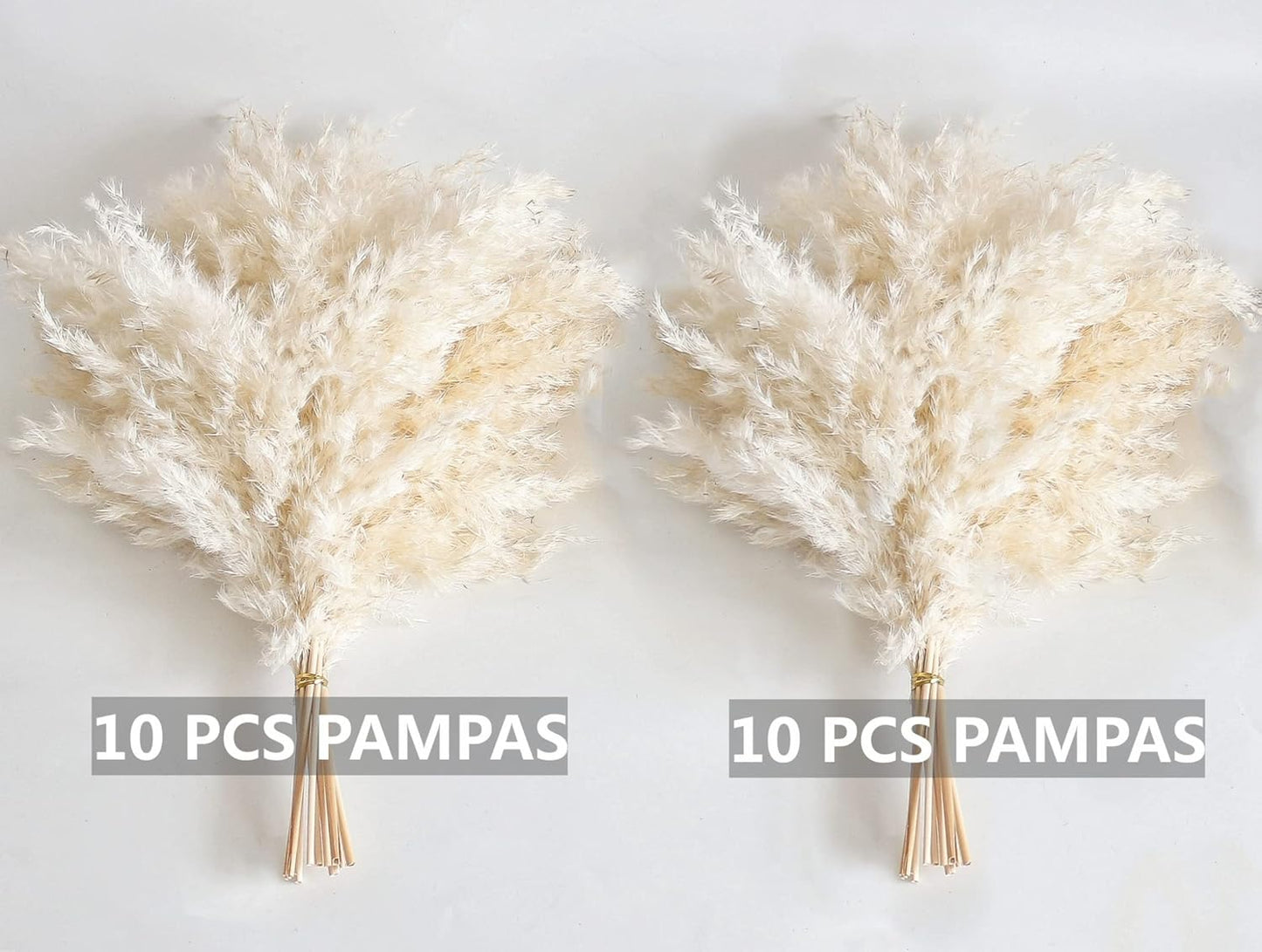 White Pampas Grass for Home Decor - Elegant Boho Decor - Premium Quality Pampas Grass Stems - Perfect for House, Nursery, Western, Wedding, Table, and Bohemian Decor (20PCS)