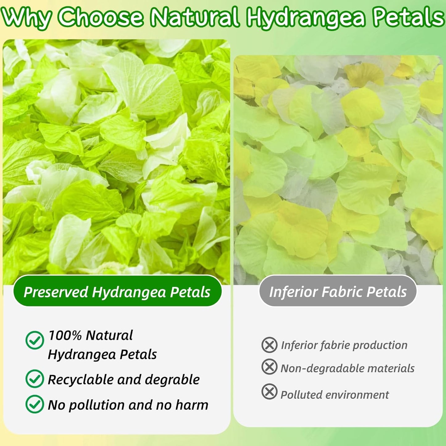 Real Dried Hydrangea Flower Petals -1.06Oz Real Natural Preserved Petals for Wedding, Party Confetti, Romantic Night, Proposal Decor, Handcrafts (Lime Green & White)