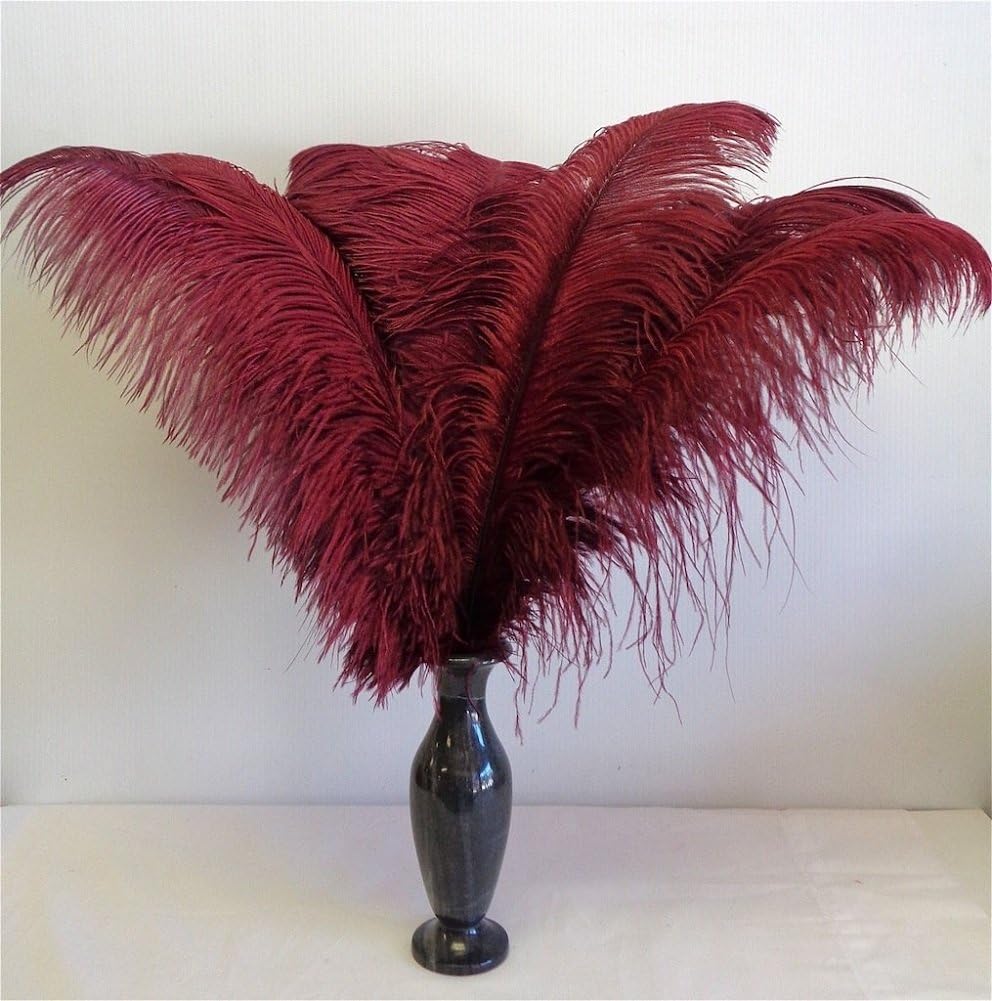 KOLIGHT 40pcs 12''~14''(30~35cm) Natural Ostrich Feathers for DIY Home Wedding Party Office Decoration (Burgundy)