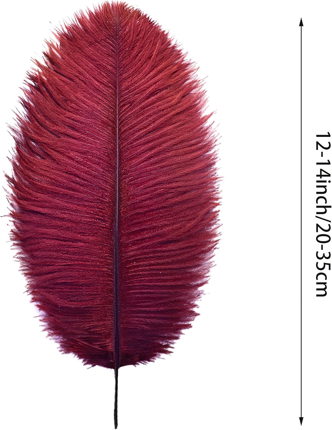 Ballinger Burgundy Ostrich Feathers Bulk - 12Pcs 12-14inch Feathers for Party Centerpieces, Flower Arrangement and Home Decor(Burgundy)