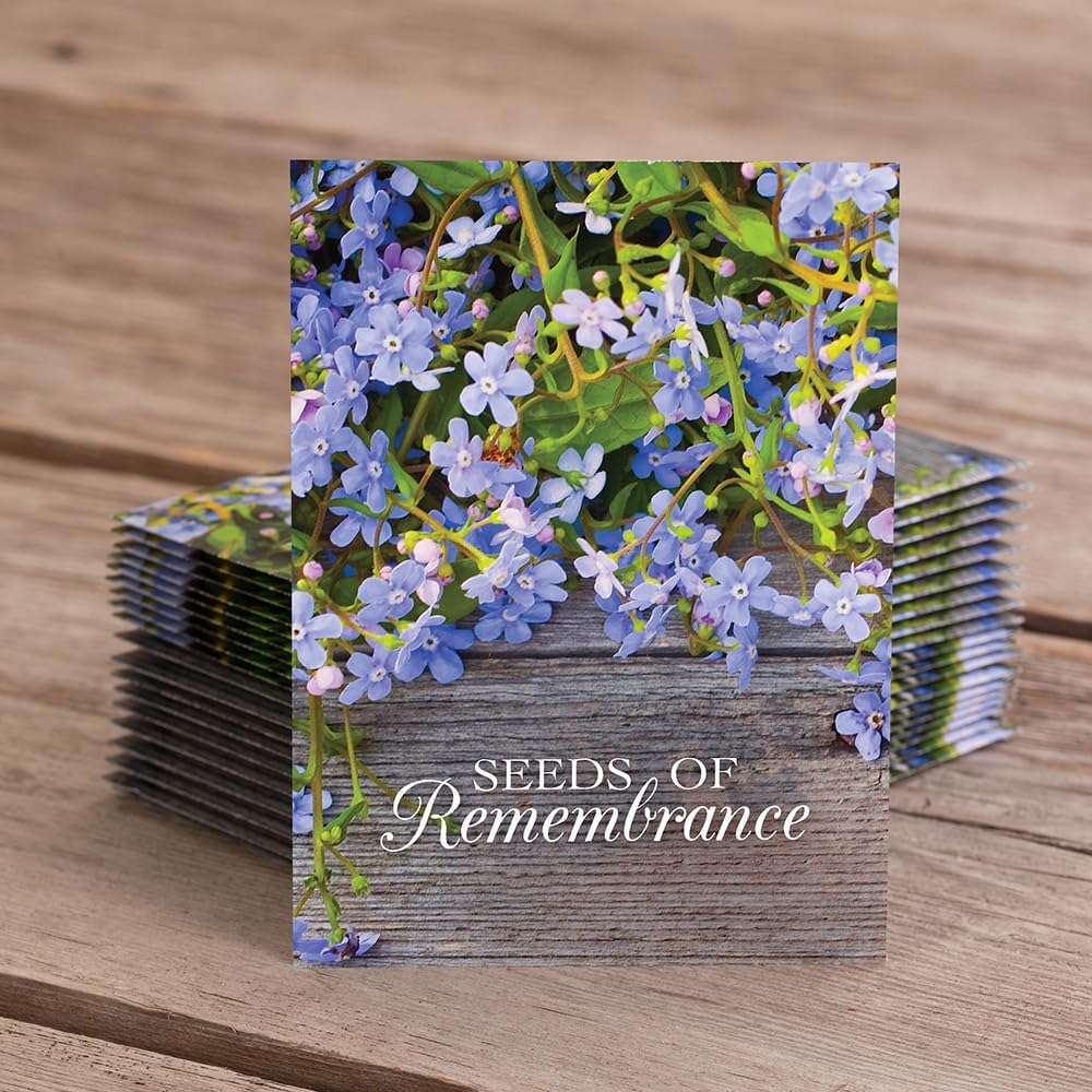 Bentley Memorial Blue Flax Seeds of Remembrance, Non-GMO, Non-Coated Packets, Funeral Keepsake, Linum Lewisii, 25 Pack