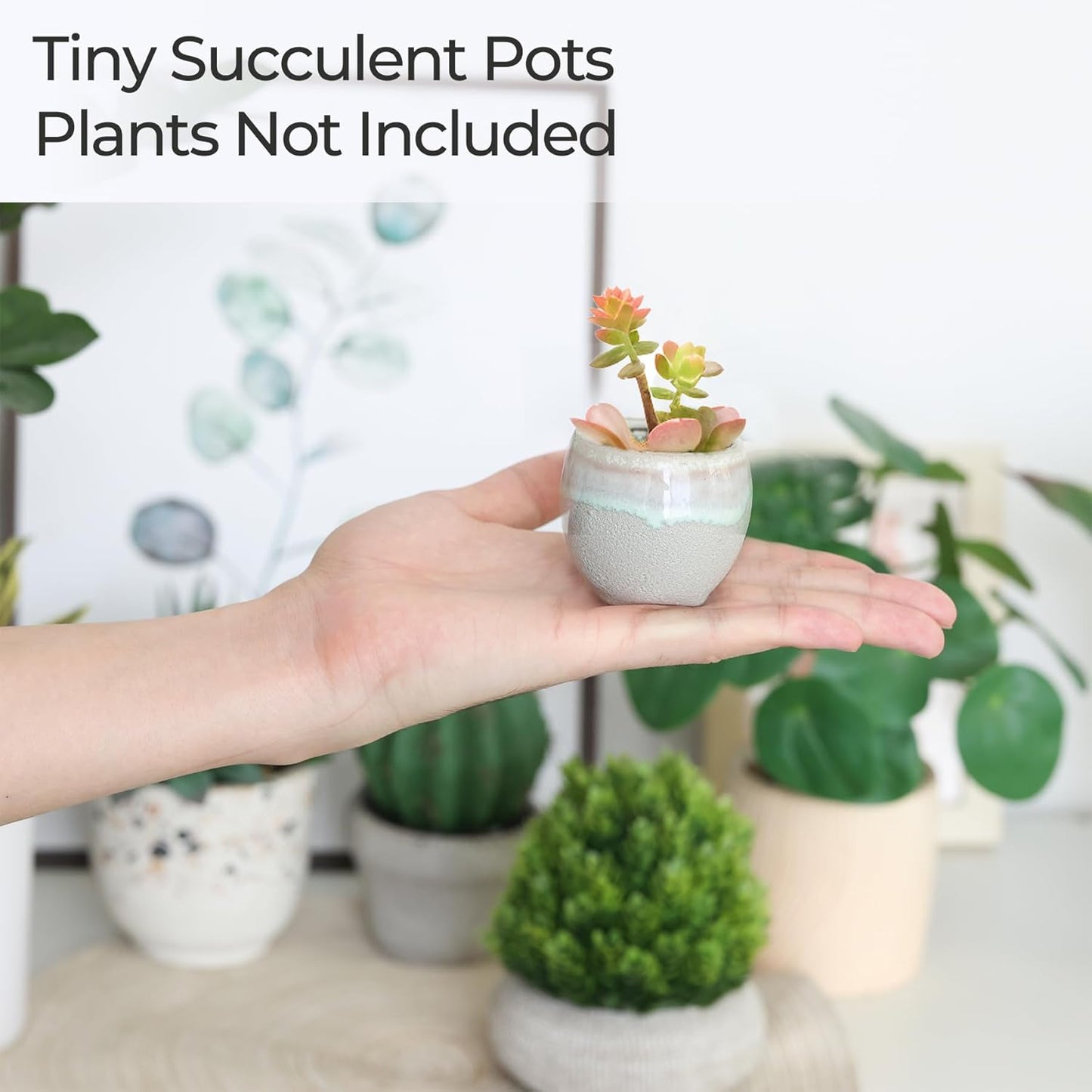 T4U Mini Ceramic Succulent Pots with Drainage - Set of 6, Tiny Pots for Plants, Home and Office Decor, Plant Lover Gifts for Women