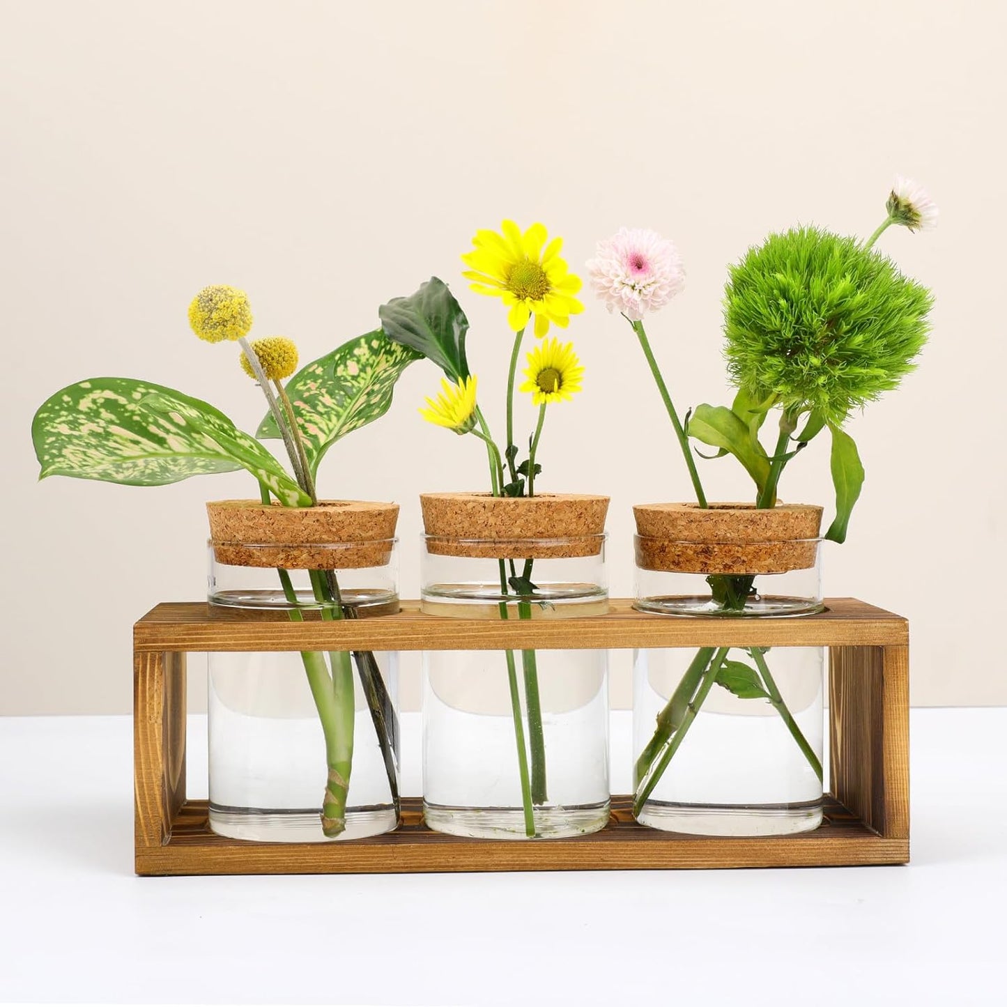 Propagation Stations, Plant Terrarium for Indoor Hydroponic Decor, Glass planters for Fresh Cuttings, Unique Birthday Gifts for Women & Mom, Home/Office Decor