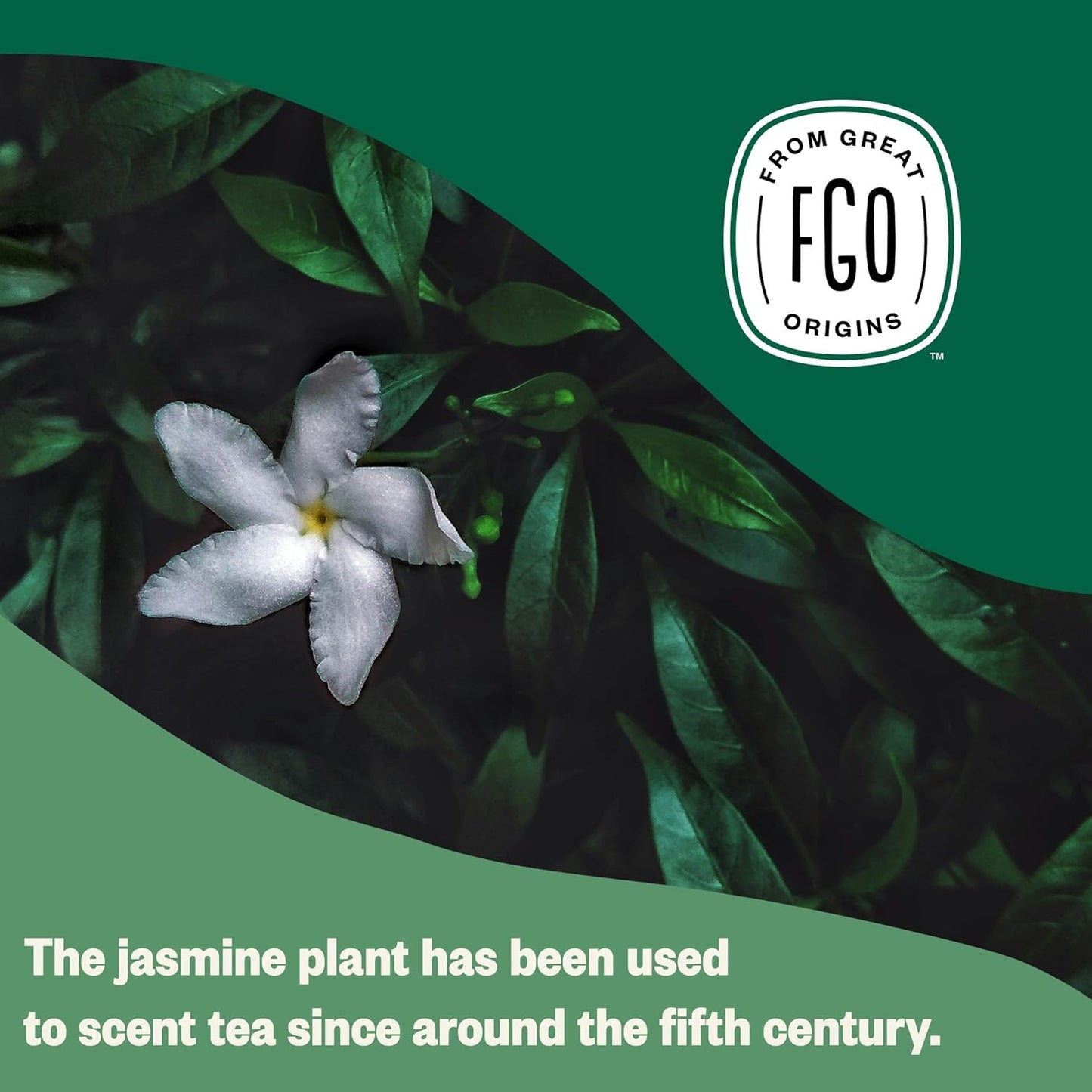 FGO Organic Jasmine Green Tea, 100 Count, Eco-Conscious Tea Bags, Resealable Bag, Packaging May Vary (Pack of 1)