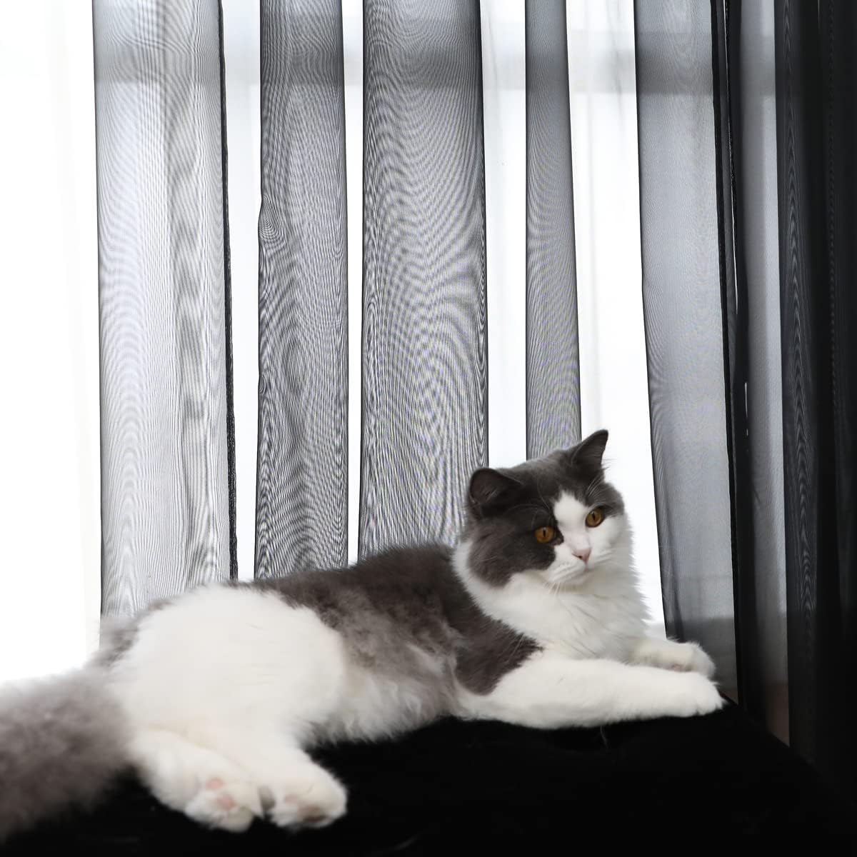 Window Black Sheer Curtains 72 Inches Long 2 Panels Sheer Curtain Basic Rod Pocket Panel for Bedroom Children Living Room Yard Kitchen (Black, 52" W x 72" L | 2 pcs)