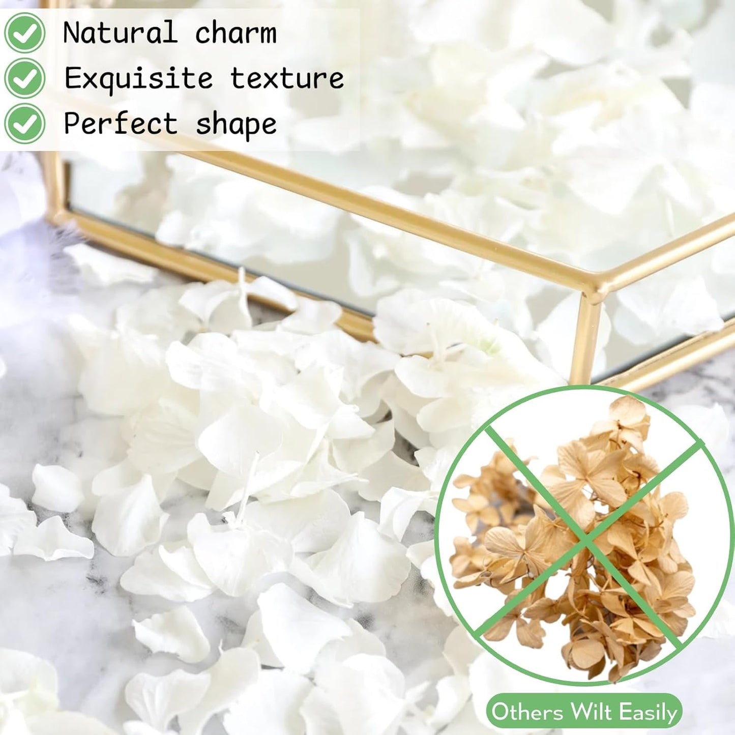 3000+Pcs Real Ivory White Dried Hydrangea Flower Petals - 100% Natural Creamy White Flower Petals for Wedding Confetti, Romantic Night Decor, DIY Handcrafts (2.12oz)