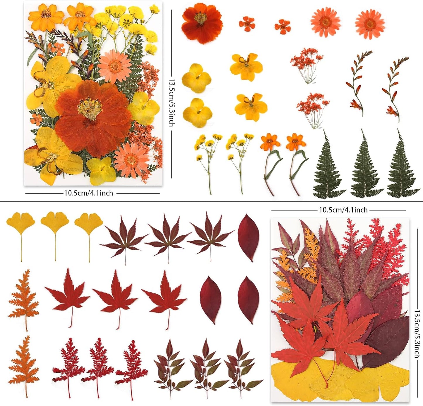 80P Autumn Tone Dried Flowers for Crafts - Real Natural Pressed Flowers in Warm Fall Hues for Resin, DIY Art, Jewelry, Thanksgiving Decor & Pumpkin Decoration – Tweezers Included