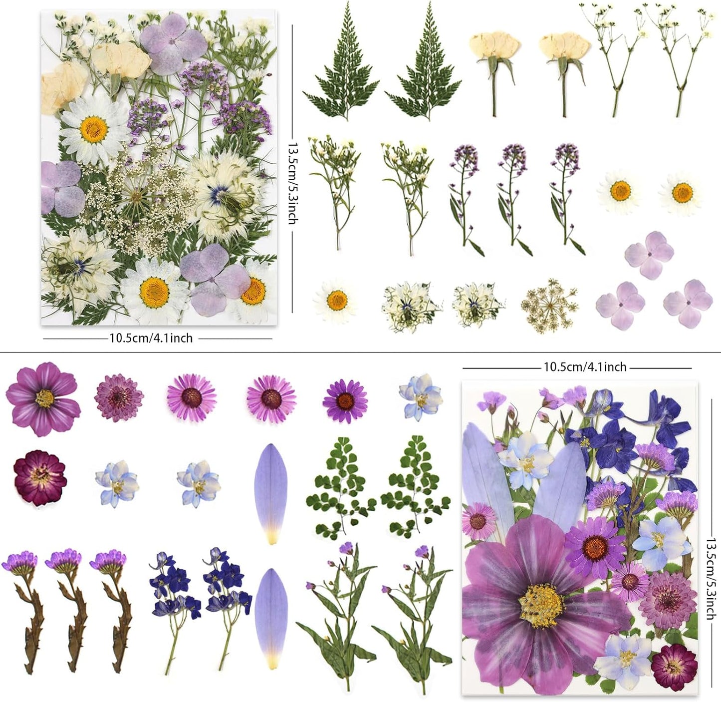 80 Pcs Dried Pressed Flowers for Crafts, Natural with Vibrant Colors & Various Shapes, Exquisite Arrangement for Resin, DIY, Jewelry, Candle & Soap Making – Tweezers Included