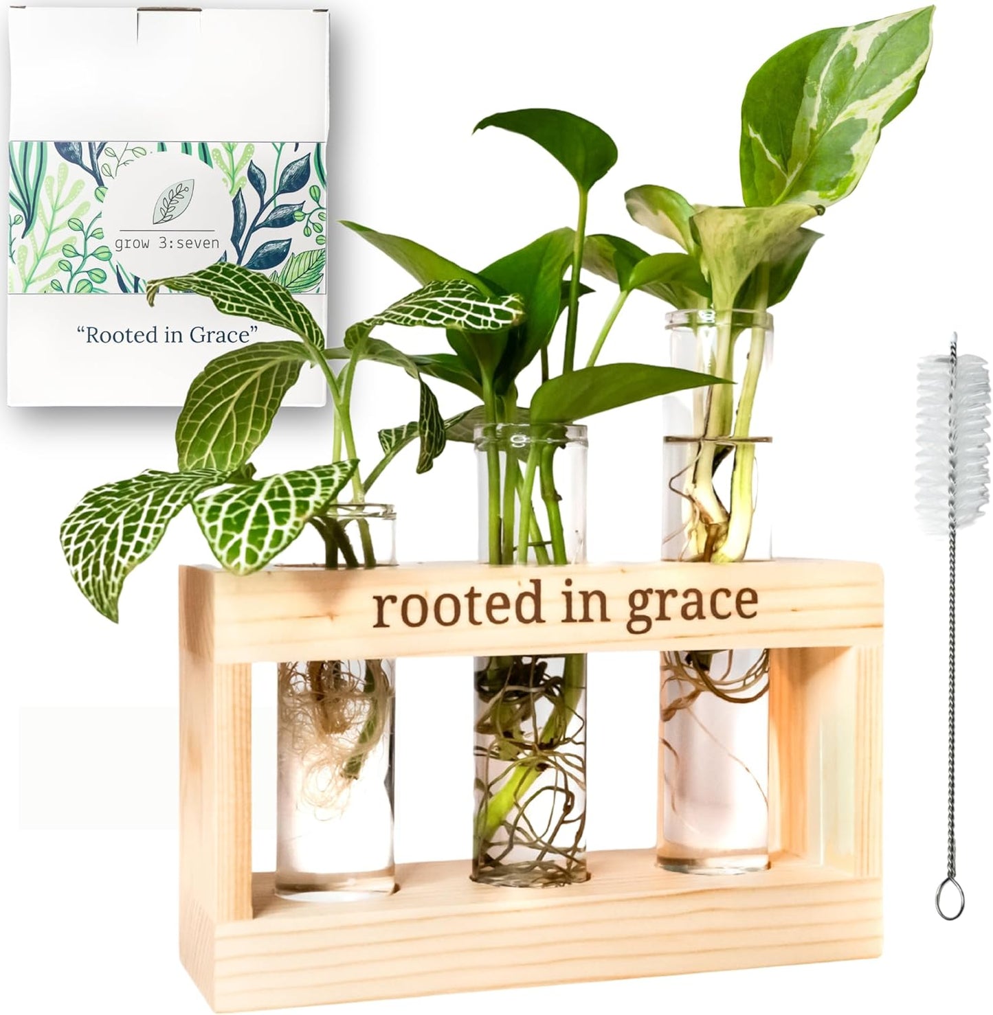 Rooted in Grace: Plant Propagation Stations: Plant Cutting Holder w/ 3 Glass Propagation Vases, Unique & Encouraging Christian Gifts for Women, Faith-Inspired Home Decor