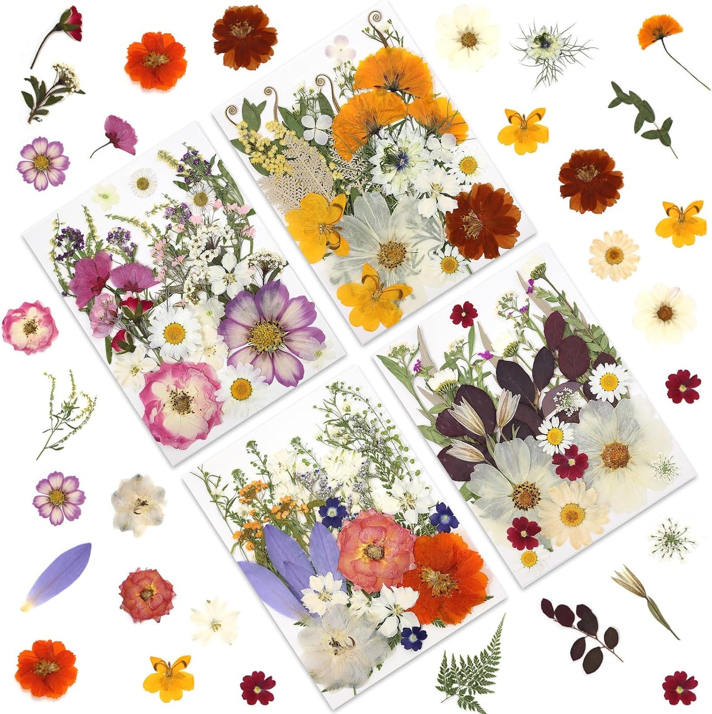 120P 4-Color Mixed Foliage Dried Flowers for Crafts, Real Natural Pressed Flowers for Resin Art, DIY Crafts, Jewelry & Candle Making – Tweezers Included