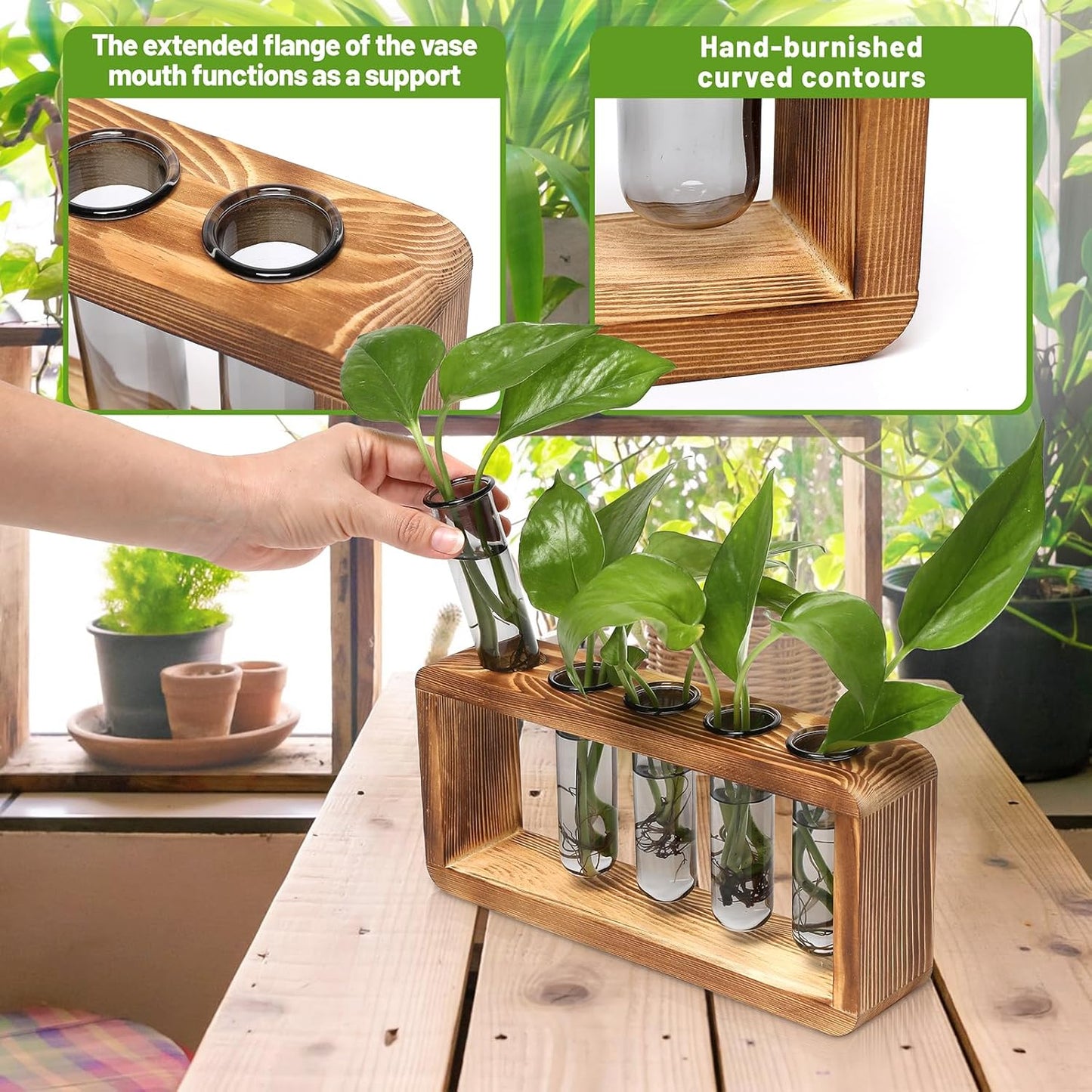 Glass Plant Propagation Station with 5 Test Tubes Colorful Planter Vase Birthday Gifts for Women in Wooden Stand