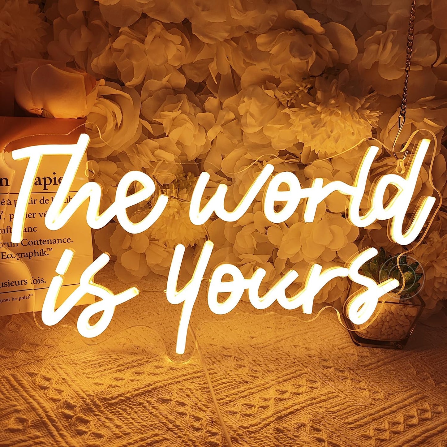 SYLHOME The World Is Yours Led Neon Light Sign Cool Bedroom Game Kids Room Wall Decor Sign Birthday Christmas Party Home Pub Club Bar Inspirational Light Up Sign USB 15.75"X8.46" Warm