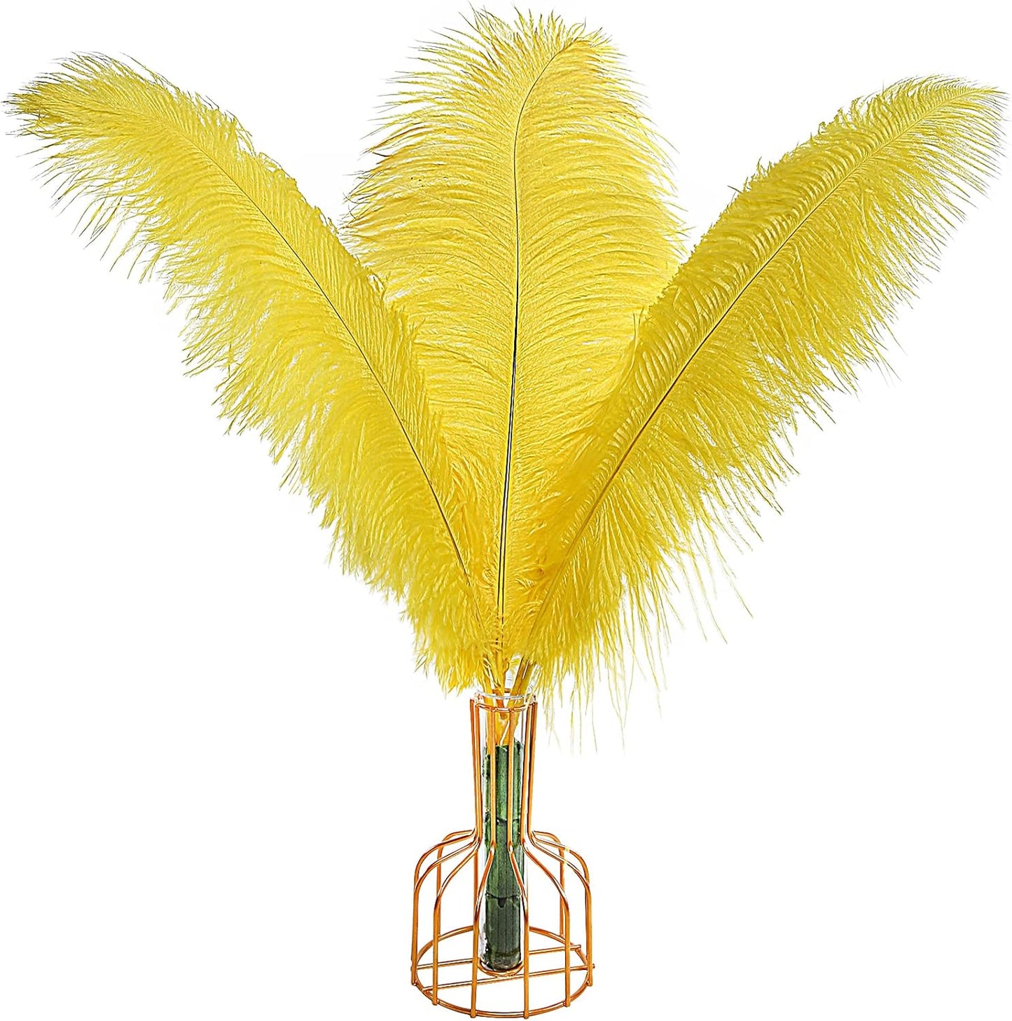 THARAHT Yellow Ostrich Feathers 12pcs Large Natural Bulk 12-14Inch 30cm-35cm for Wedding Party Centerpieces Halloween and Home Decoration Feathers