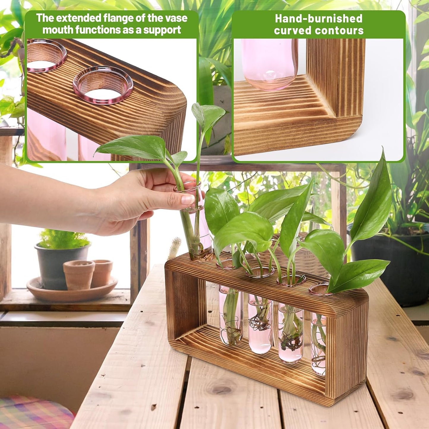 Glass Plant Propagation Station with 5 Test Tubes Colorful Planter Vase Birthday Gifts for Women in Wooden Stand