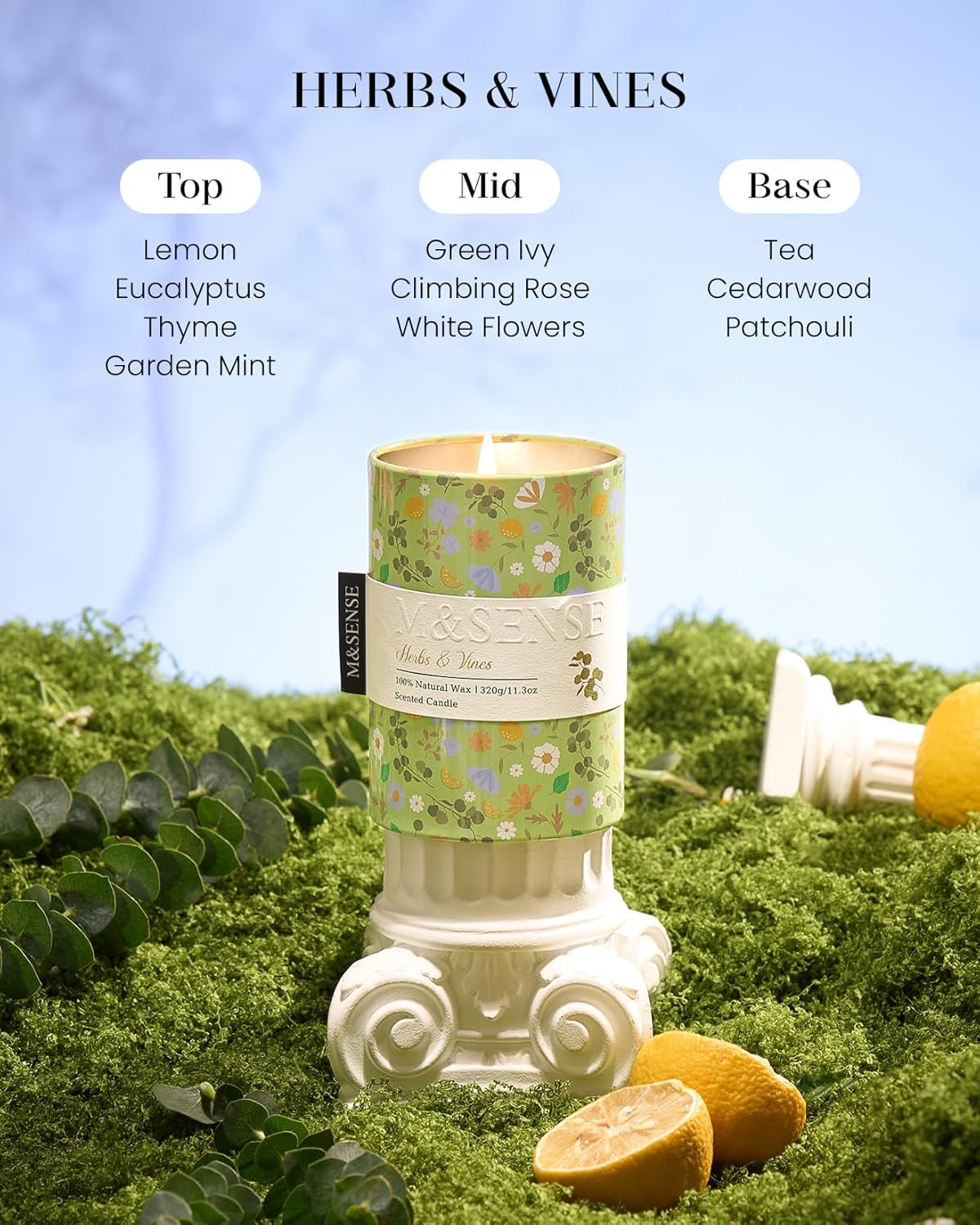 M&SENSE Herbs Vines Scented Candle, Medium Jar Candle 11.3oz Natural Soy Wax for Home Scented, Floral Candles Gift for Spring Holiday, Up to 70 Hours Burning Long-Lasting Fragrance