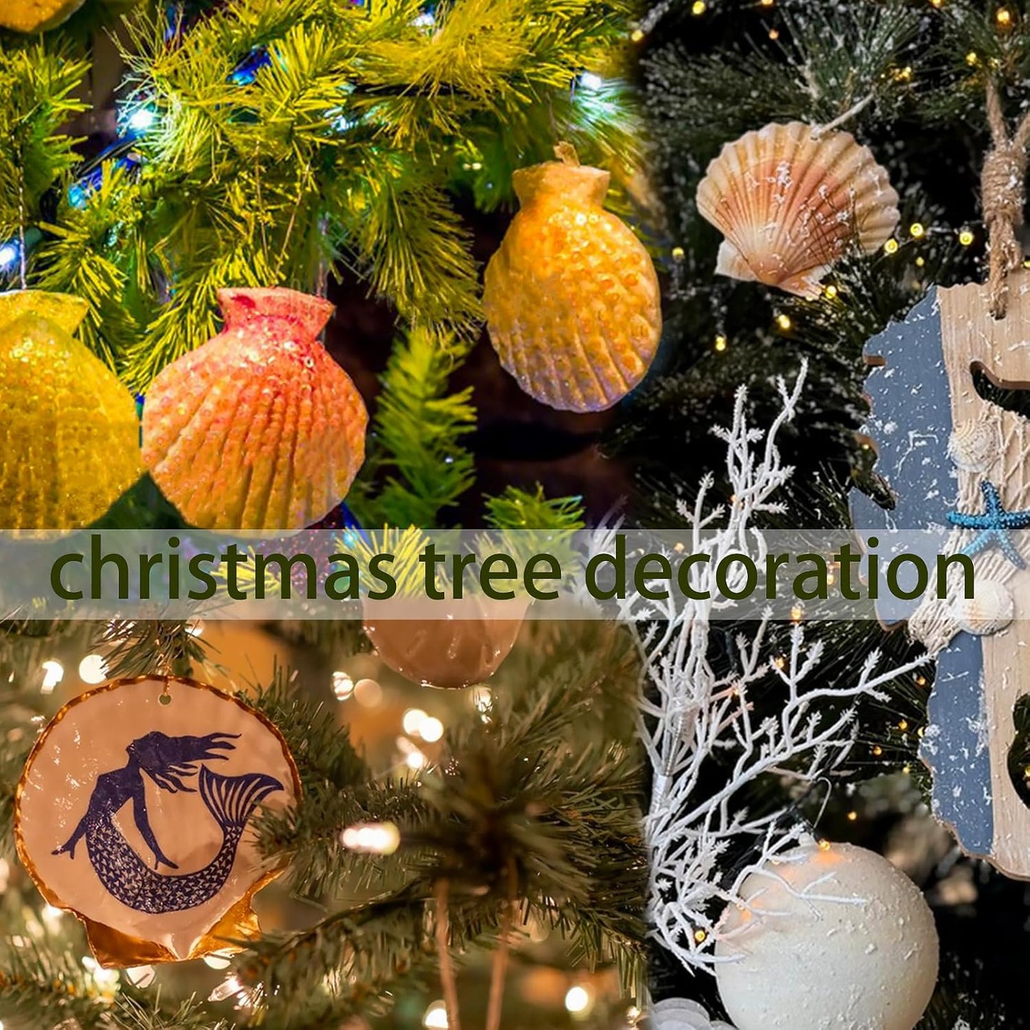 25PCS Sea Shells Scallop Shells Natural White Sea Shells for DIY Craft Crafting,Painting,Baking,Home Decor and Beaching Wedding Decoration (6-8CM) Seashells Bulk