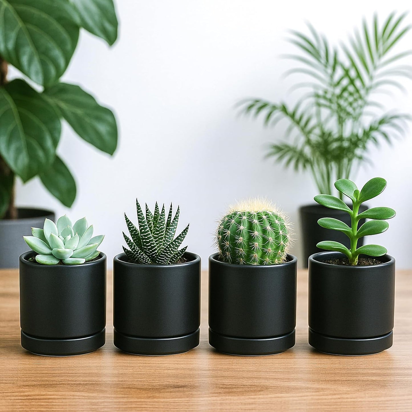 D'vine Dev Set of 4 Small Ceramic Plant Pots, 3.5 Inch Succulent Planter Pot for Plants with Drainage Hole and Saucer, Black, 94-X-A-2