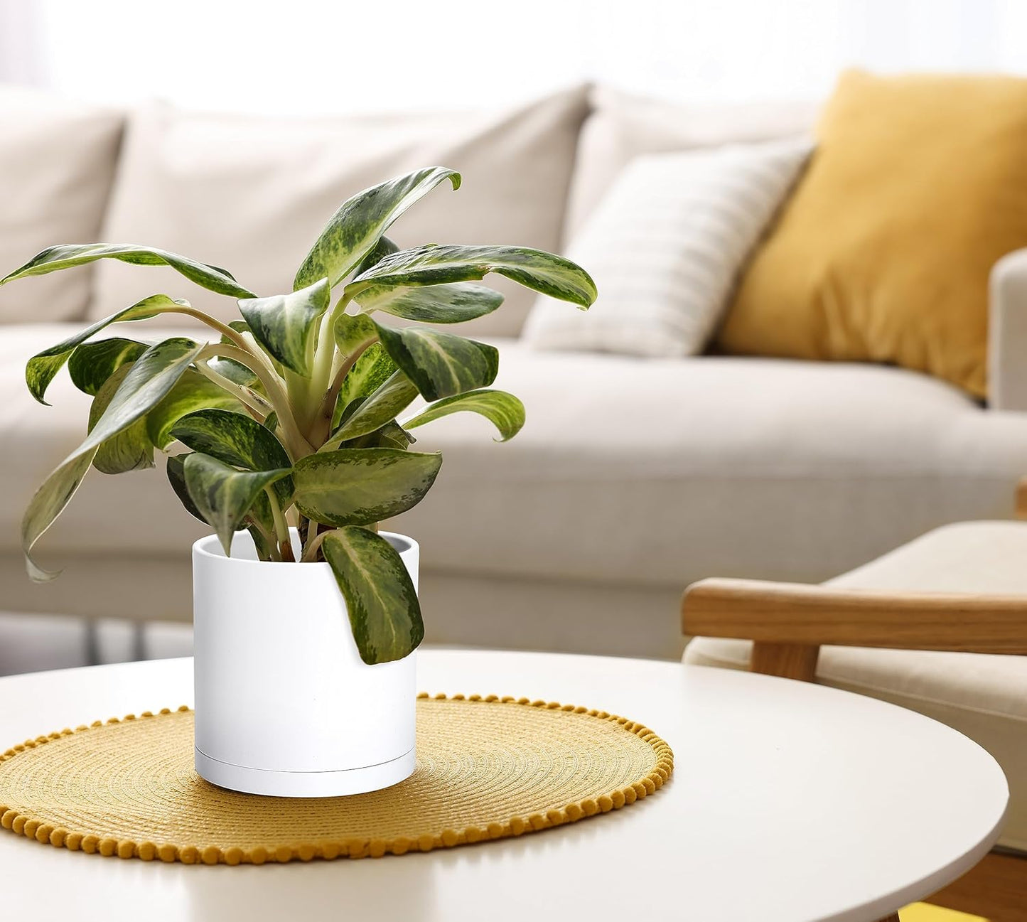 D'vine Dev 4 Pack 6 Inch Modern Plastic Plant Pots, Small Garden Planters for Plant with Drainage Holes and Saucers, White Color, 74-Z-J-2