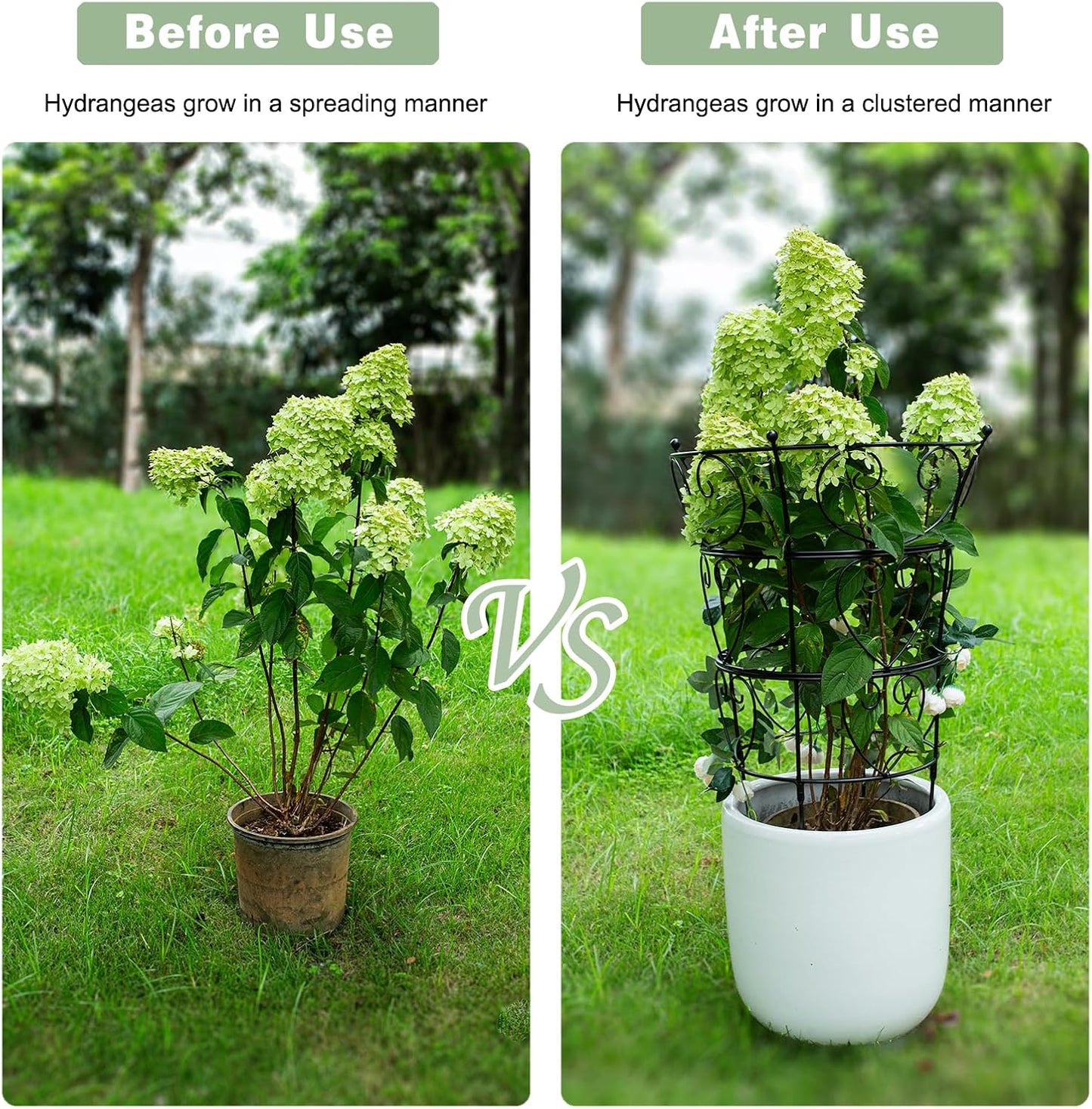 Large Obelisk Trellis Peony Cage 24.6x17 Inches - Premium Metal Plant Support for Outdoor Gardens, Easy Assembly, Sturdy Design, Perfect for Climbing Plants