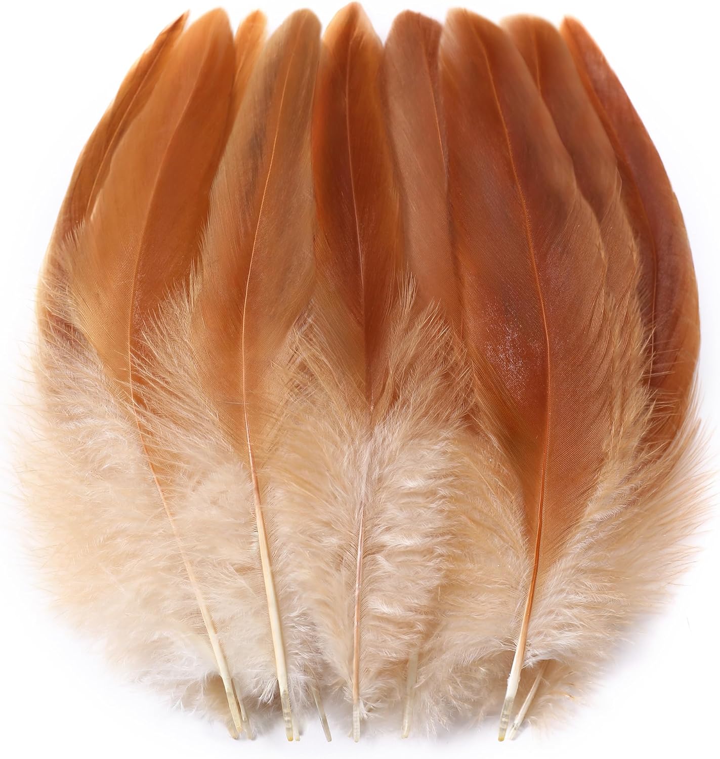 SOGUGOM Natural Rooster Tail Feathers - 200 pcs 5-7 inch Natural Small Feathers Bulk for Hats, Cocktail Table Centerpieces and Costume(Natural)
