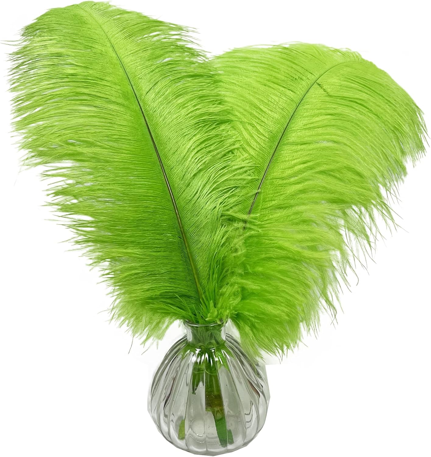 Happy Feather 16-18 inch Green Ostrich Feathers Craft for Wedding Party Centerpieces Home Decoration DIY Craft Pack of 10