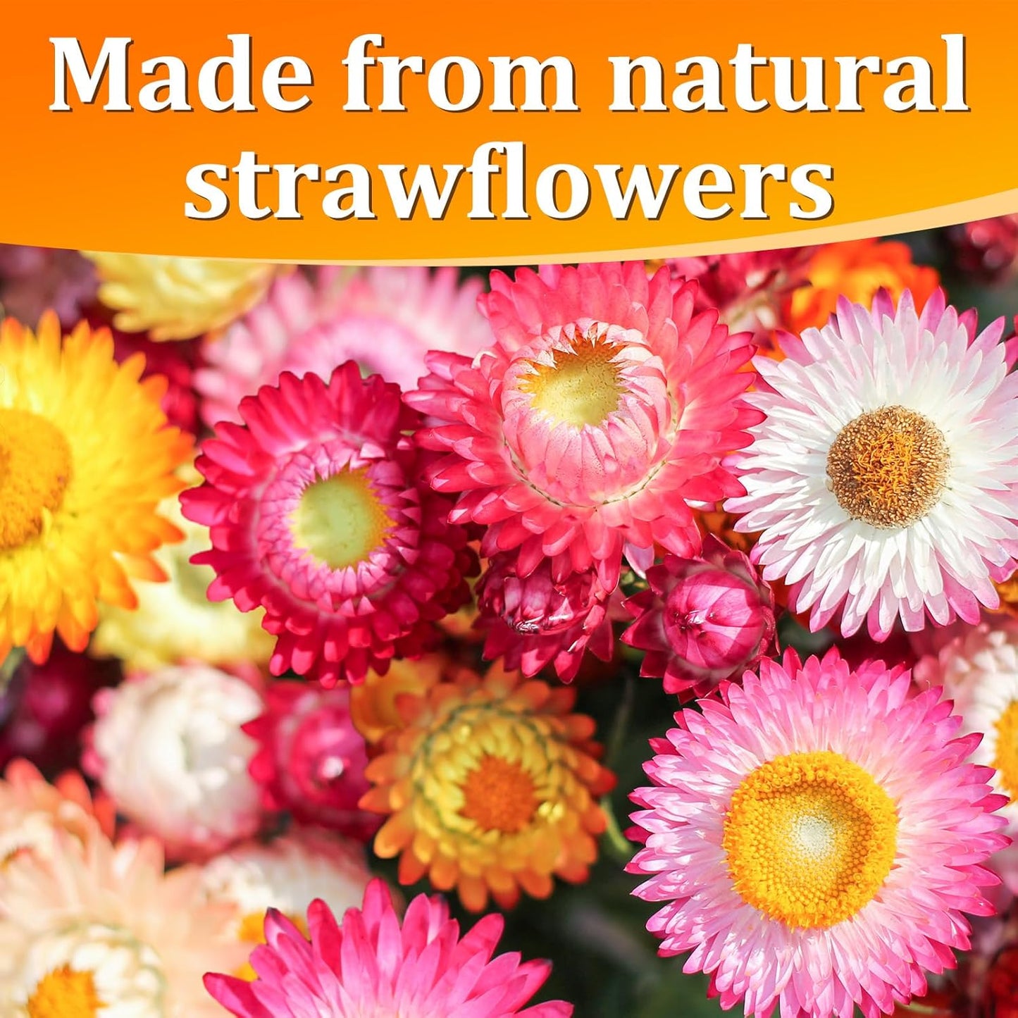 30+ Edible Dried Mixed Flowers – 25g Food Grade Natural Blooms for Cake Decorating, Tea, Cocktails, DIY – Ideal for Cocktail Toppers, Drink Garnish, Bath Soaks – No Additives, Vegan