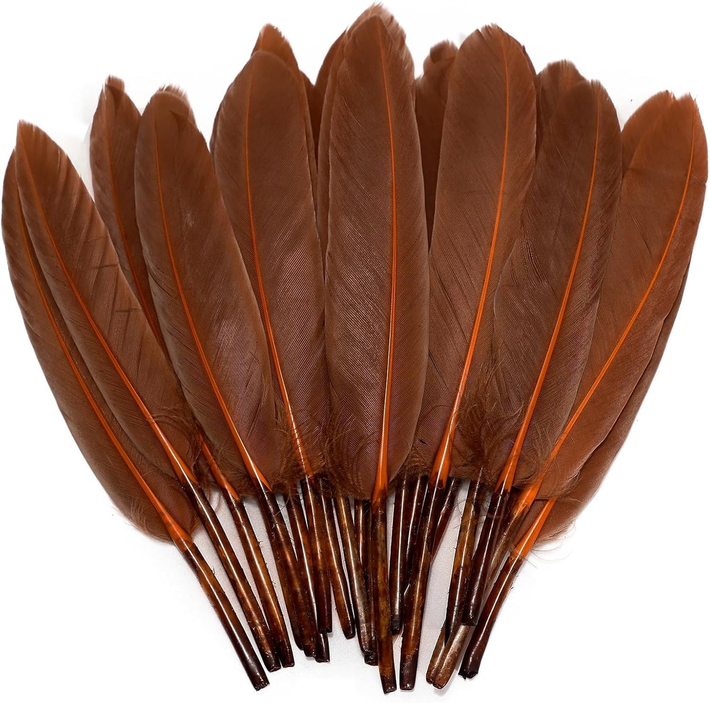FeelfunFeather 120pcs Coffee Brown Goose Cochettes Feather Natural Bulk 4-6 inch 10-15cm for Wedding Party Christmas Decorations DIY Crafts Goose Cochettes Feather