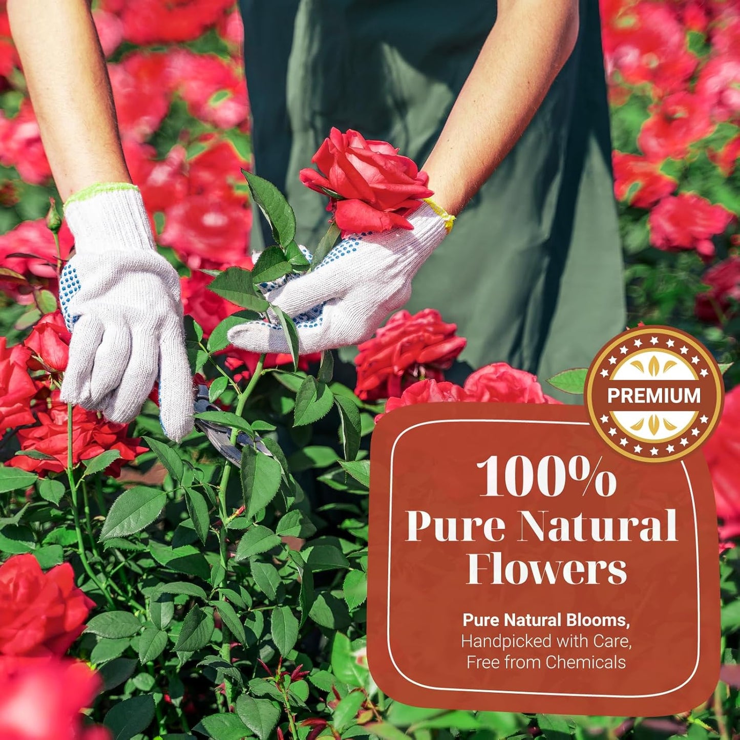 CCnature Edible Flowers Petal Blend 1oz | All natural | No Additives | Non GMO | 3 Types of Edible Dried Flowers for Baking, Cocktails, Cake Decorations, Drinks and Garnish