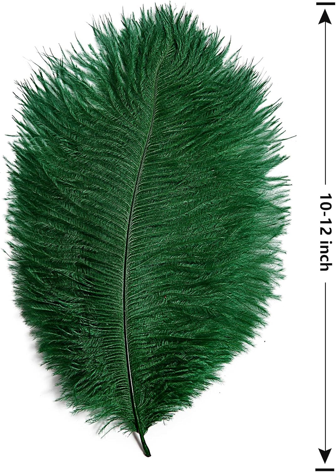 THARAHT Blackish Green Ostrich Feathers 12pcs Natural Bulk 10-12Inch 25cm-30cm for Crafts Wedding Party Centerpieces Mardi Gras Decoration Feather
