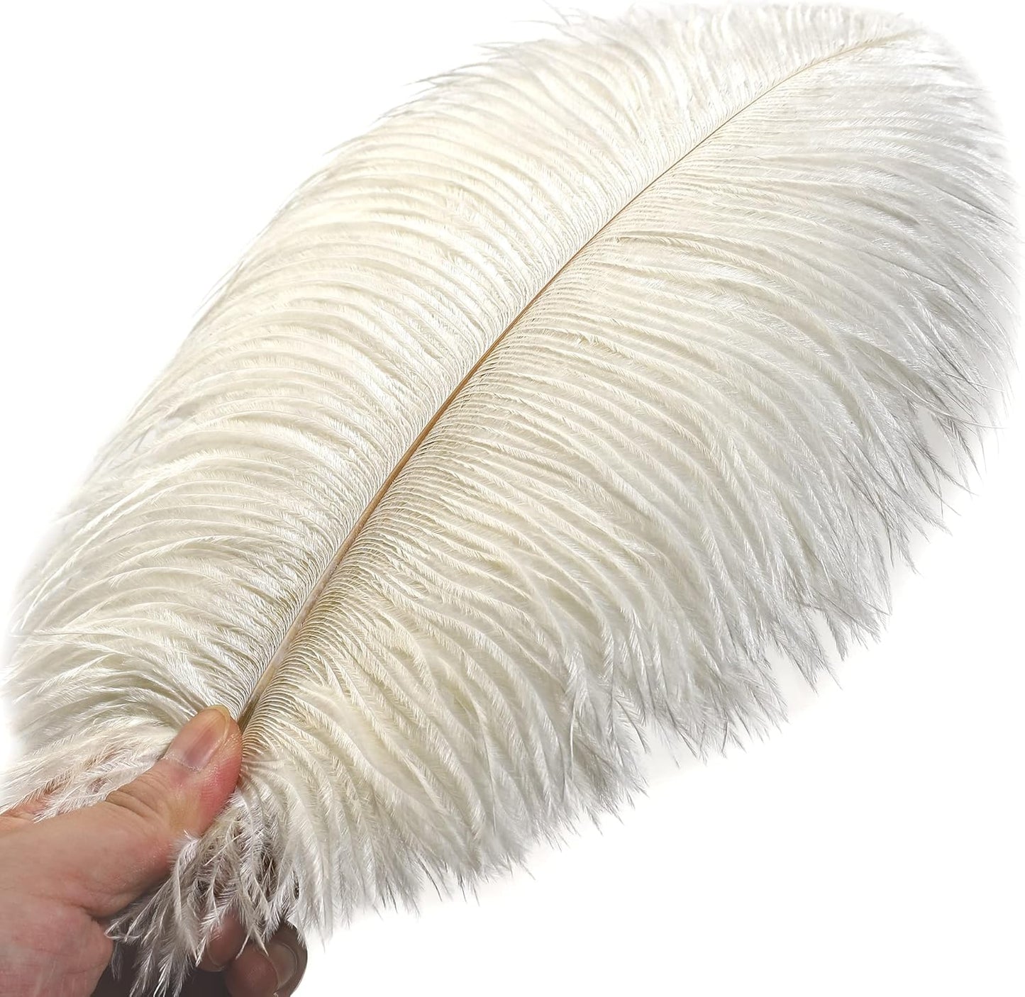 Ballinger Beige Ostrich Feathers Bulk - 24pcs 10-12inch Boho Feathers for vase，Wedding Party Centerpieces and Home Decor