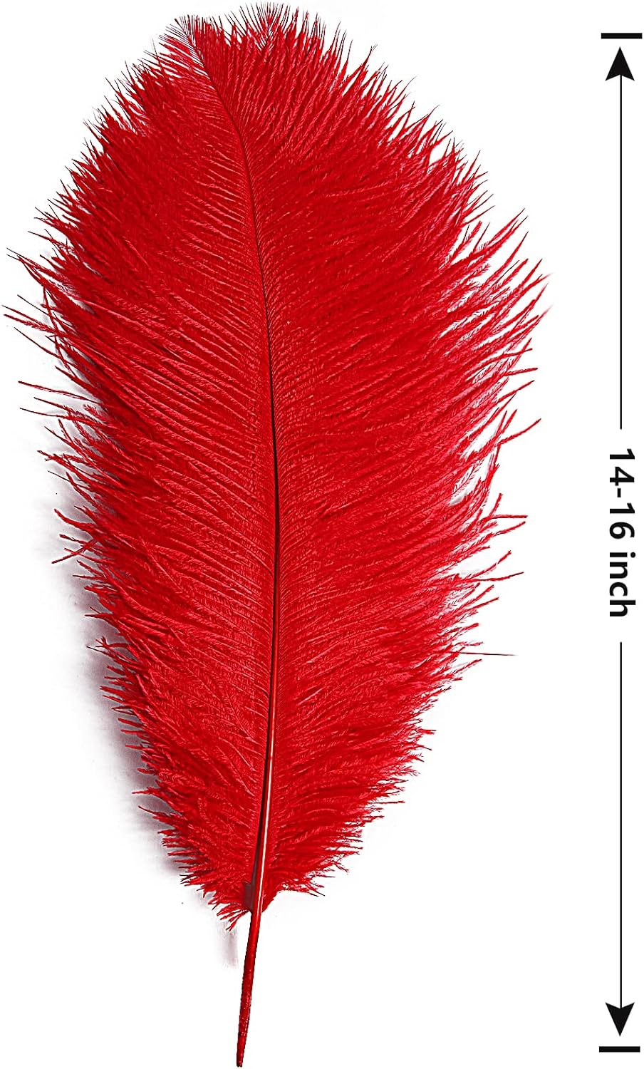 THARAHT Red Ostrich Feathers 12pcs Large Natural Bulk 14-16Inch 35cm-40cm for Wedding Party Centerpieces Halloween and Home Decoration Feathers