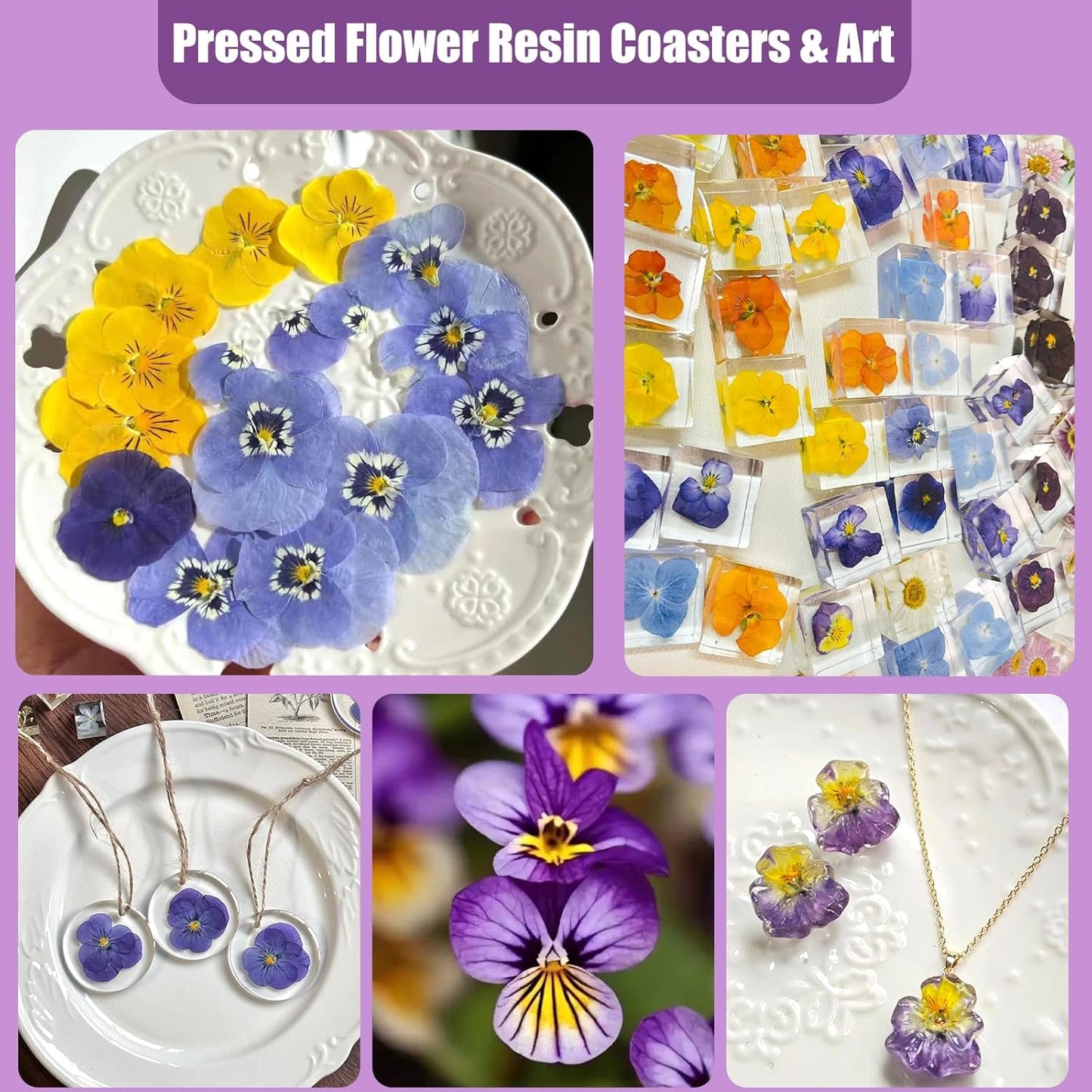 64 Pcs Dried Pressed Viola Flowers, 8 Color Gradient Purple Blue Yellow White, for Resin DIY Art Jewelry Candle & Soap Making with Tweezers Included