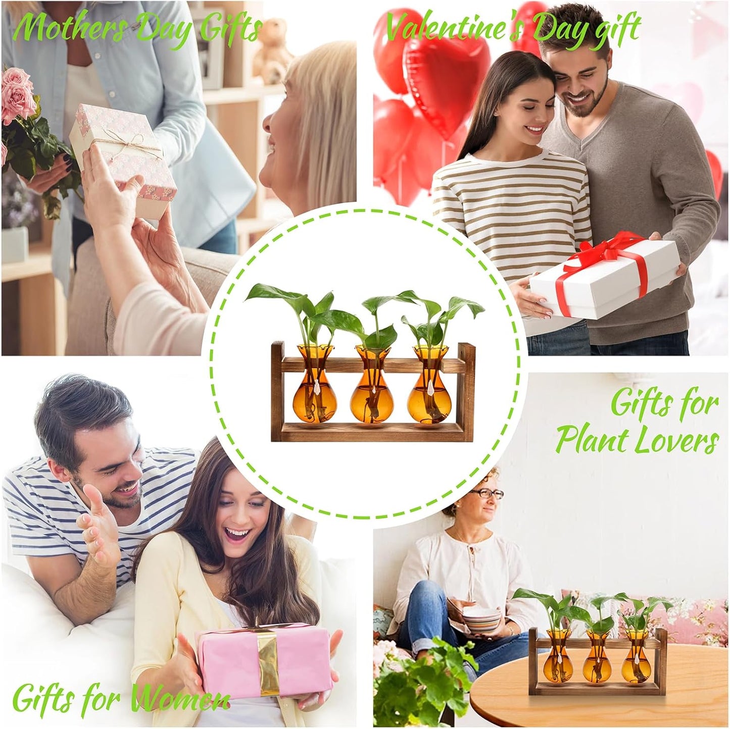 Plant Propagation Station Plant Terrarium Unique Birthday Gifts for Women Home Office Decor Planter with Wooden Stand - 3 Bulb Glass Vase