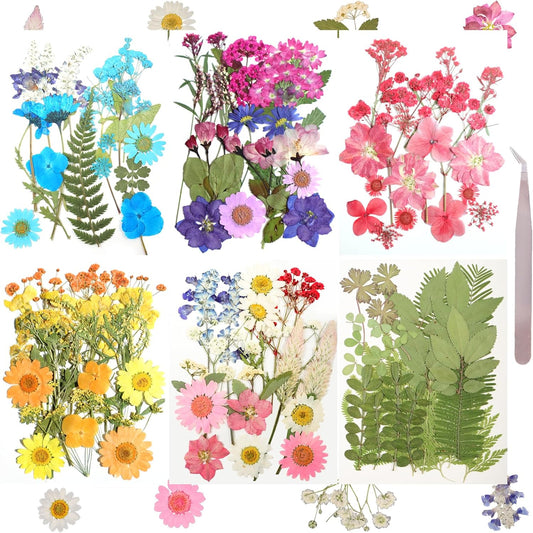120Pcs Dried Pressed Flowers for Resin Mould Dry Flower Real Leaves Bulk with Tweezers Natural Herbs Kit for Scrapbooking DIY Art Crafts Candle Jewelry Making Nails Floral Decoration(Multicolor)